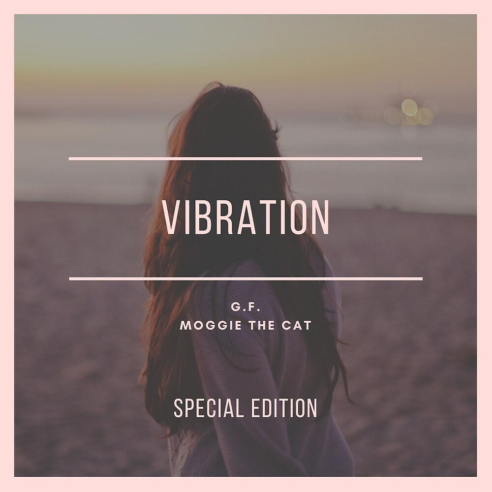 Релиз Vibration (Special Edition)