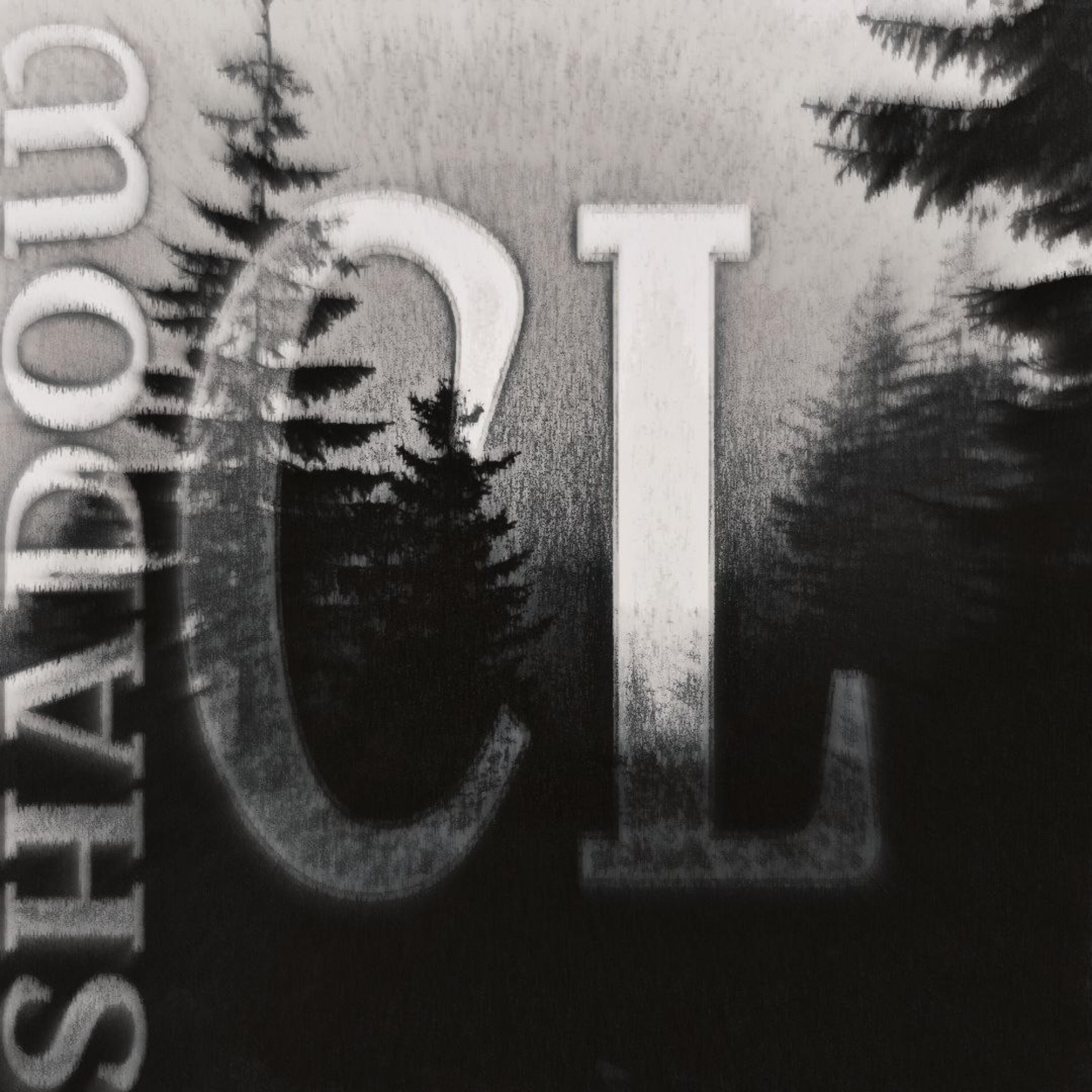 Релиз Shadow