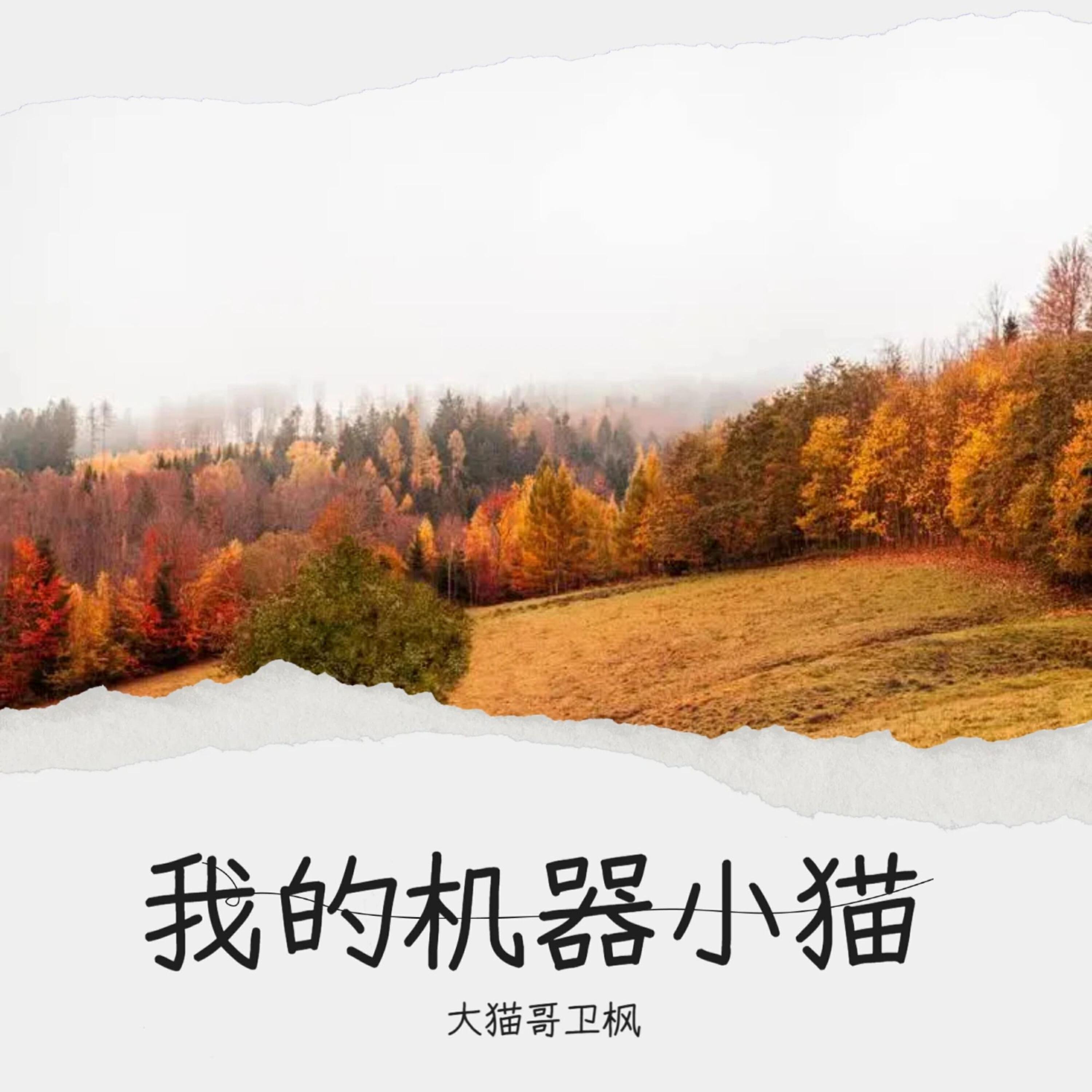 Релиз 我的机器小猫