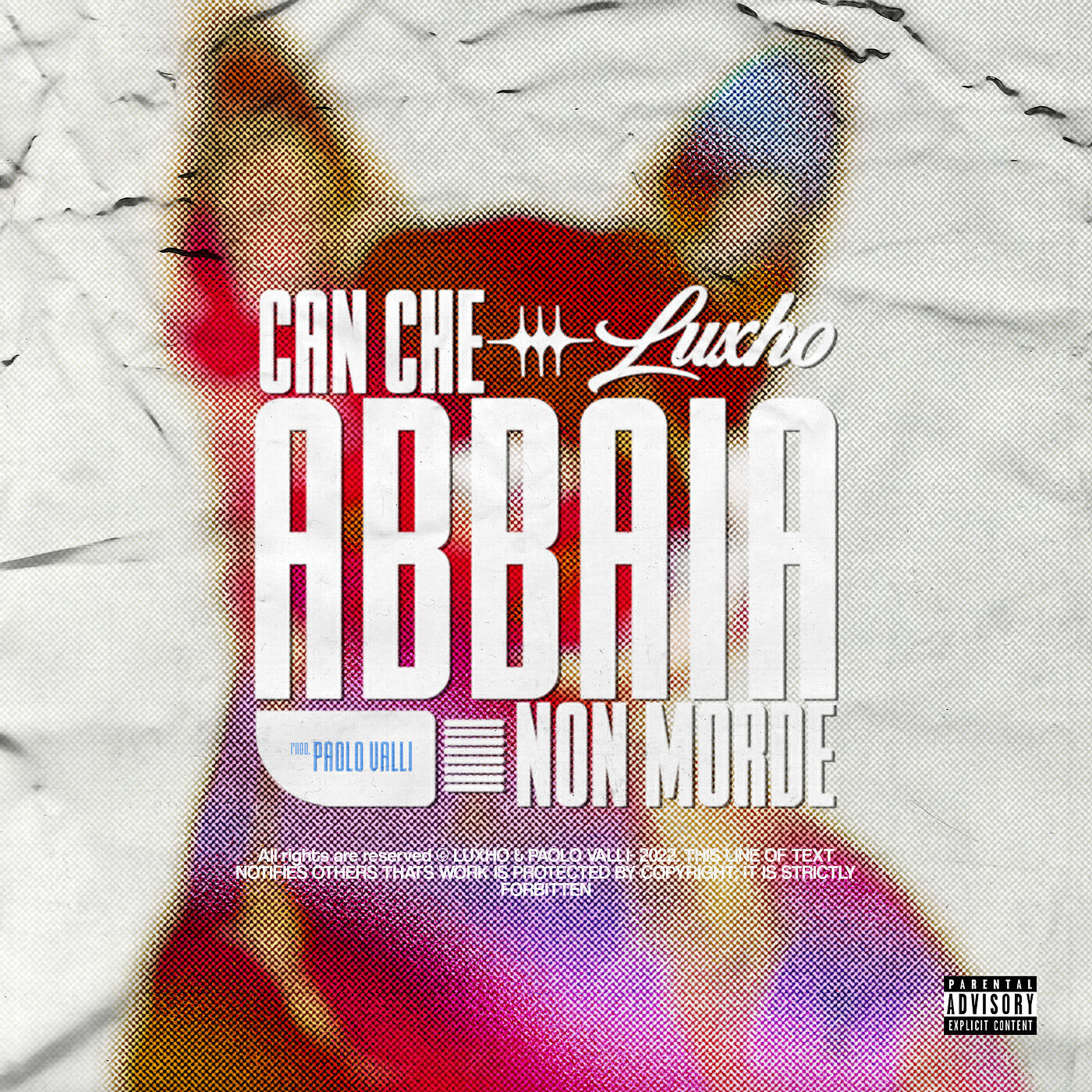 Релиз Can che abbaia non morde