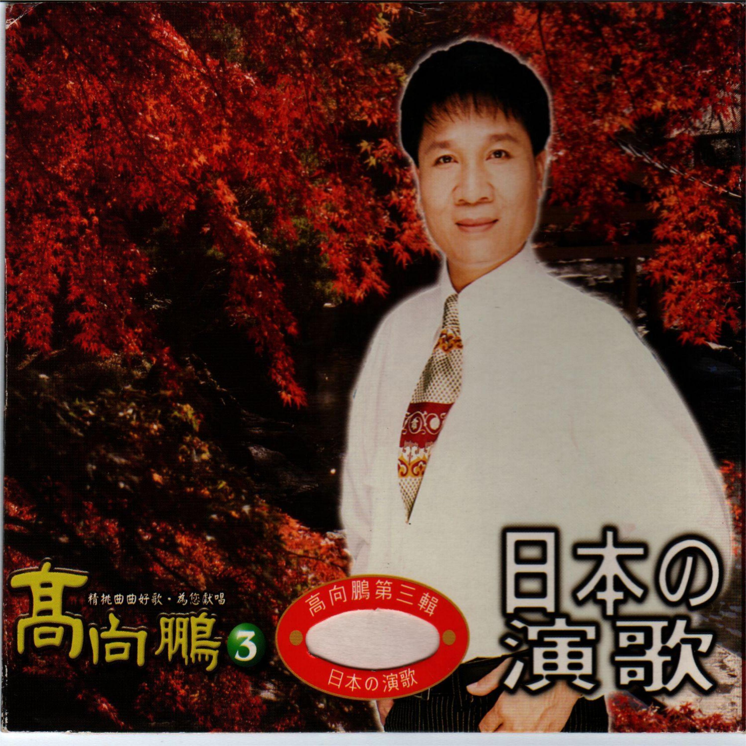 Релиз 日本の演歌