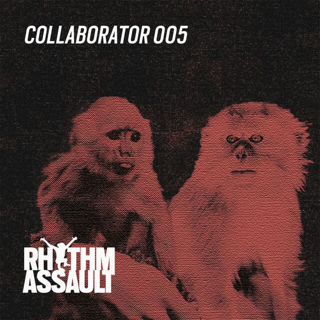 Релиз Collaborator 005