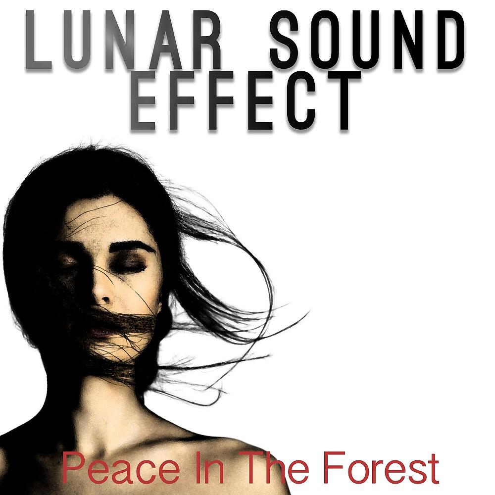 Релиз Peace in the Forest