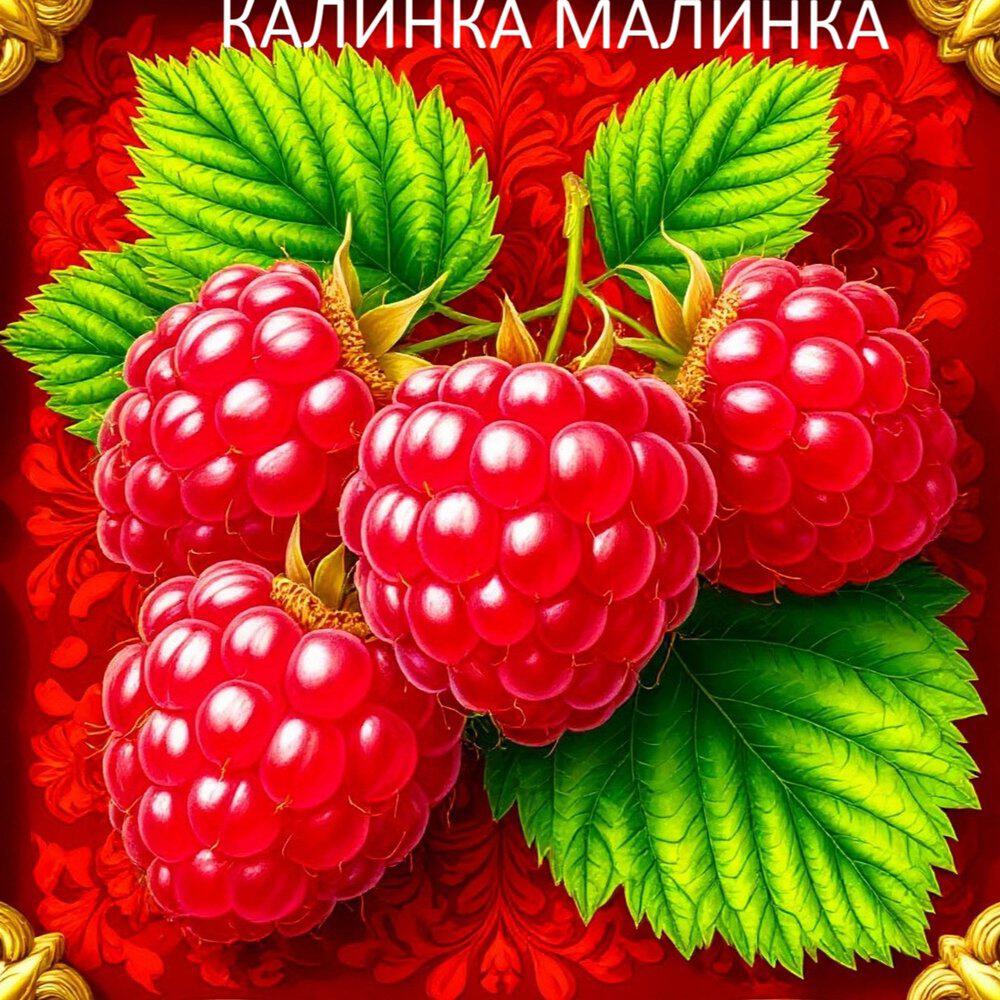 Релиз КАЛИНКА МАЛИНКА