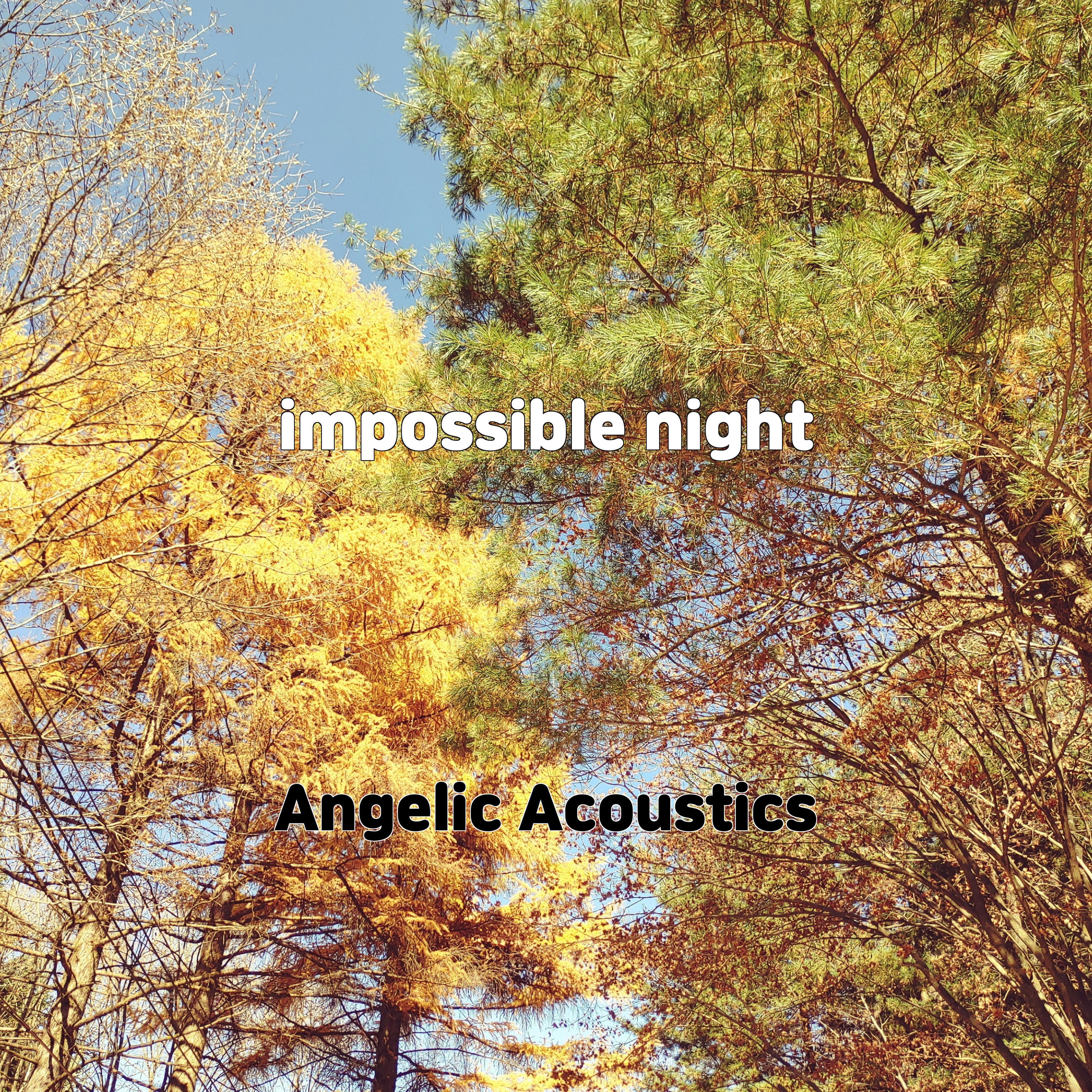 Релиз impossible night