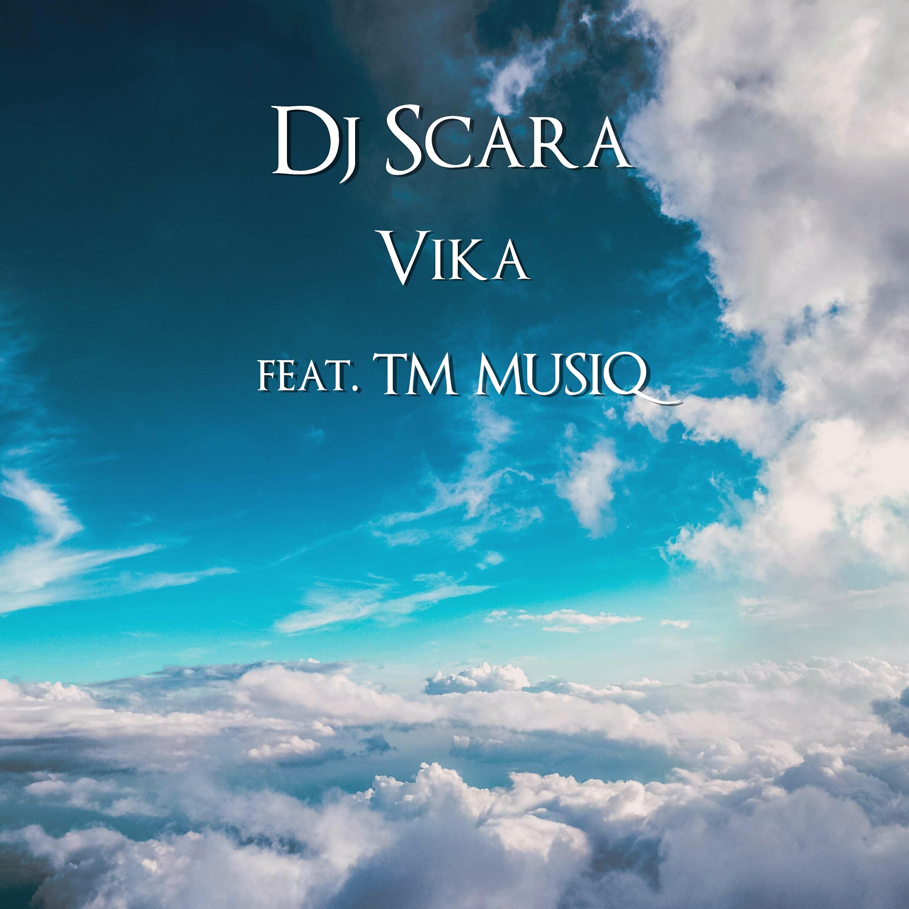 Релиз Vika