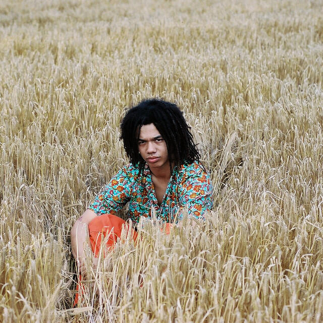 Релиз Great Dane (Radio Edit)
