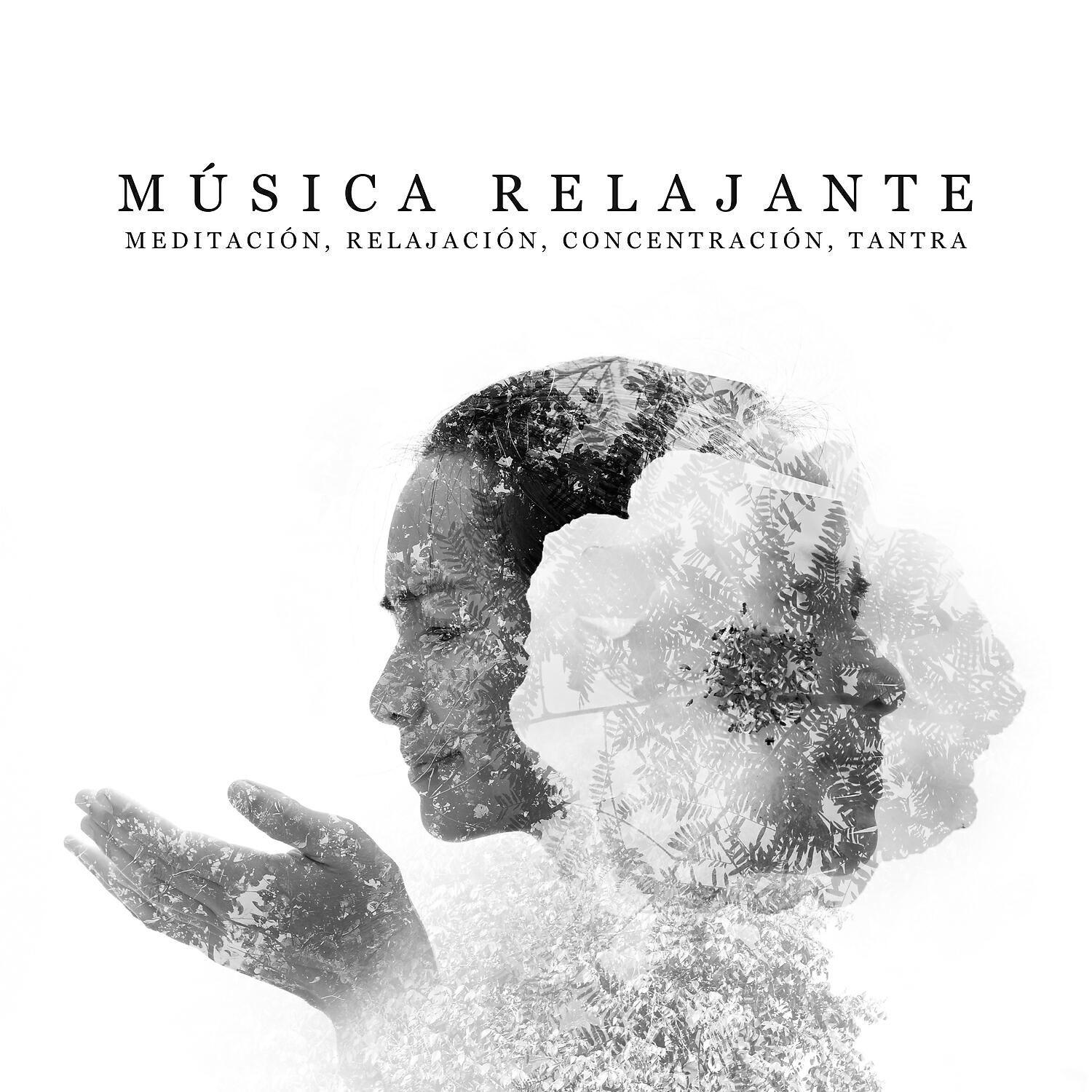Релиз Música Relajante: Meditación, Relajación, Concentración, Tantra