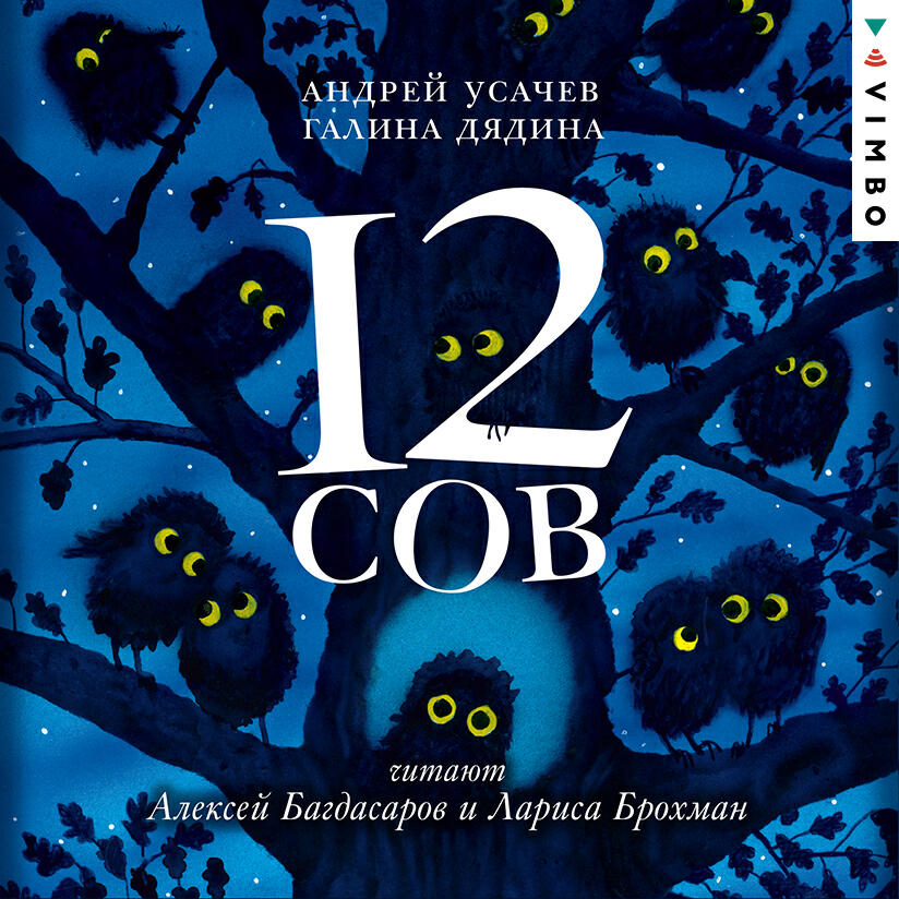 Книга 12 сов
