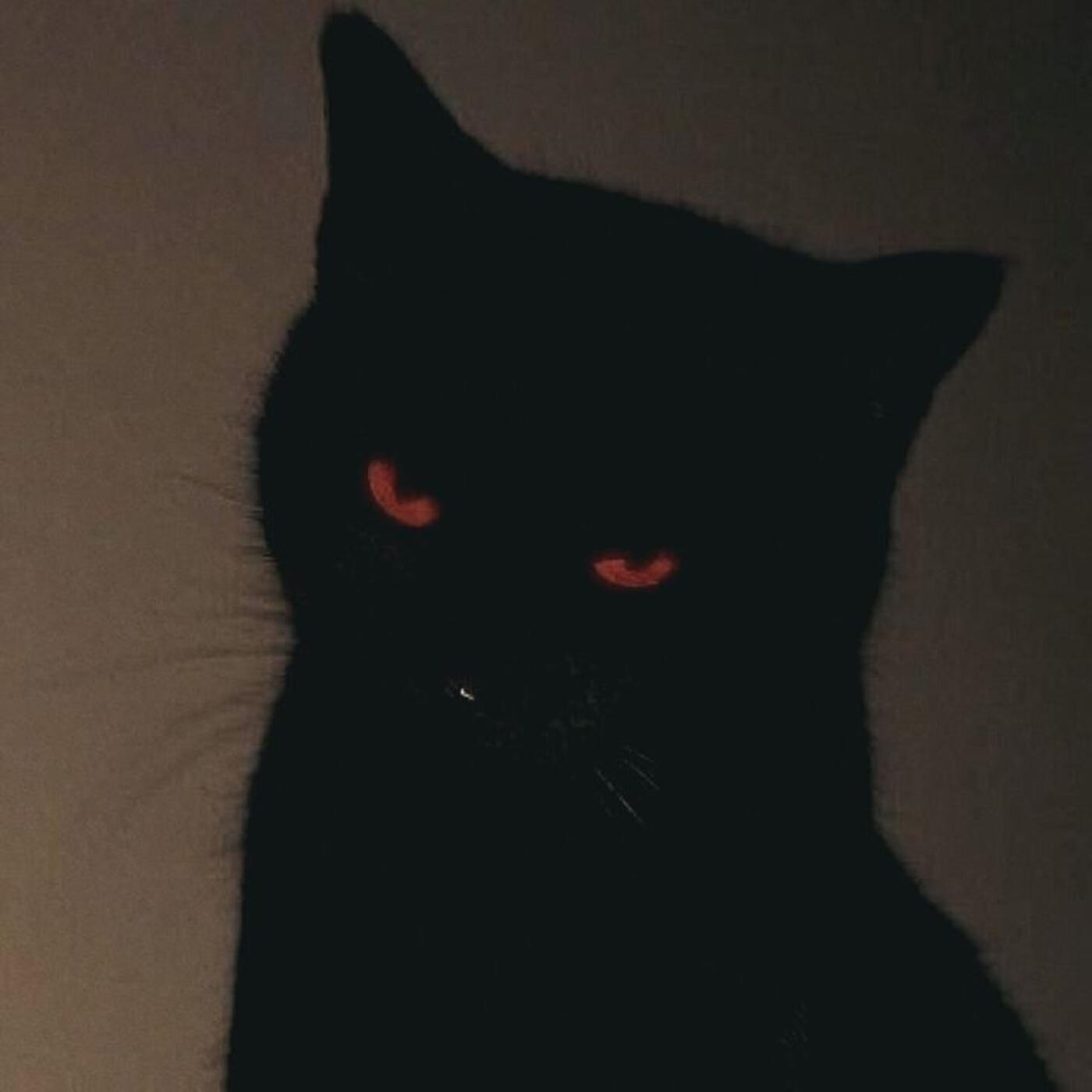 Релиз Black