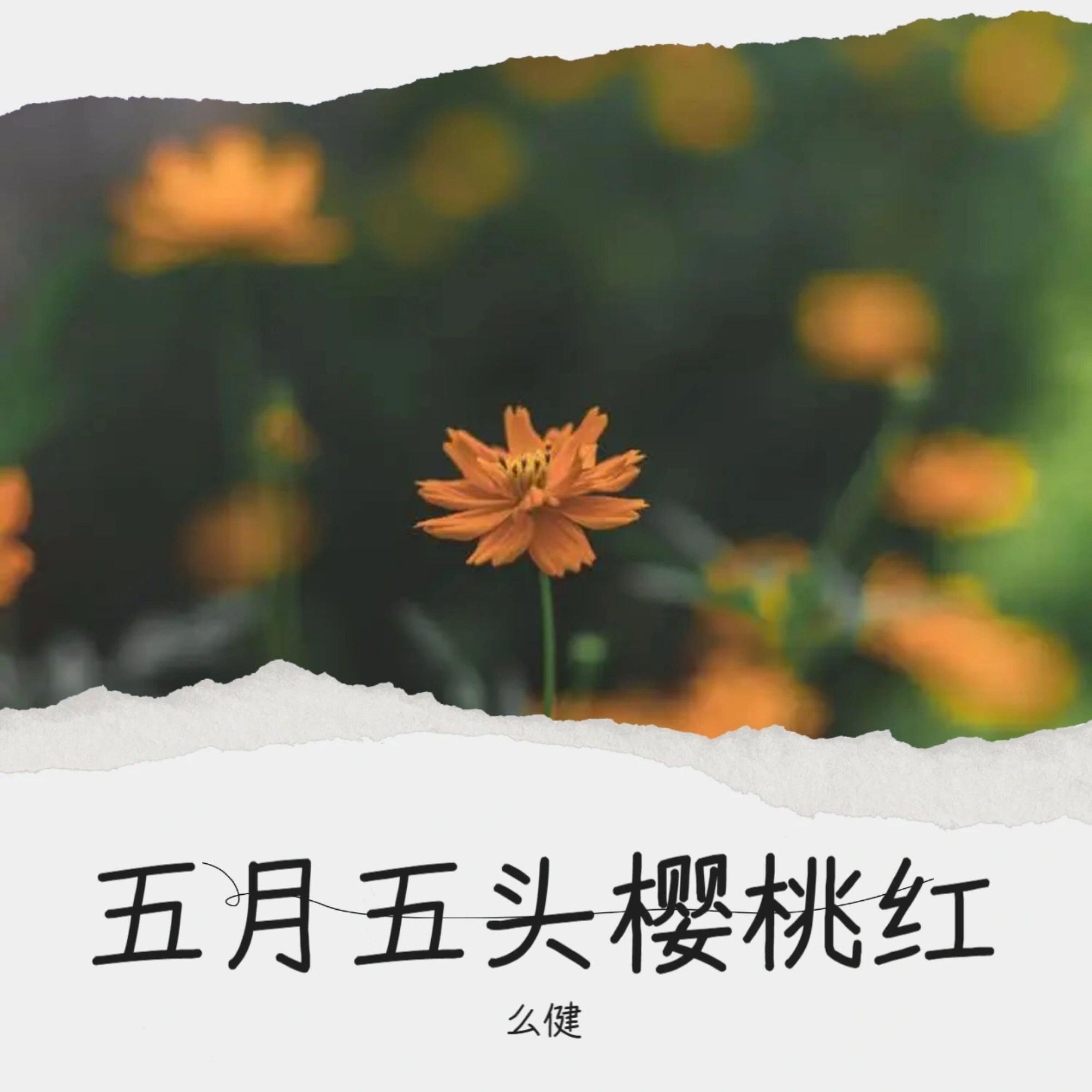 Релиз 五月五头樱桃红