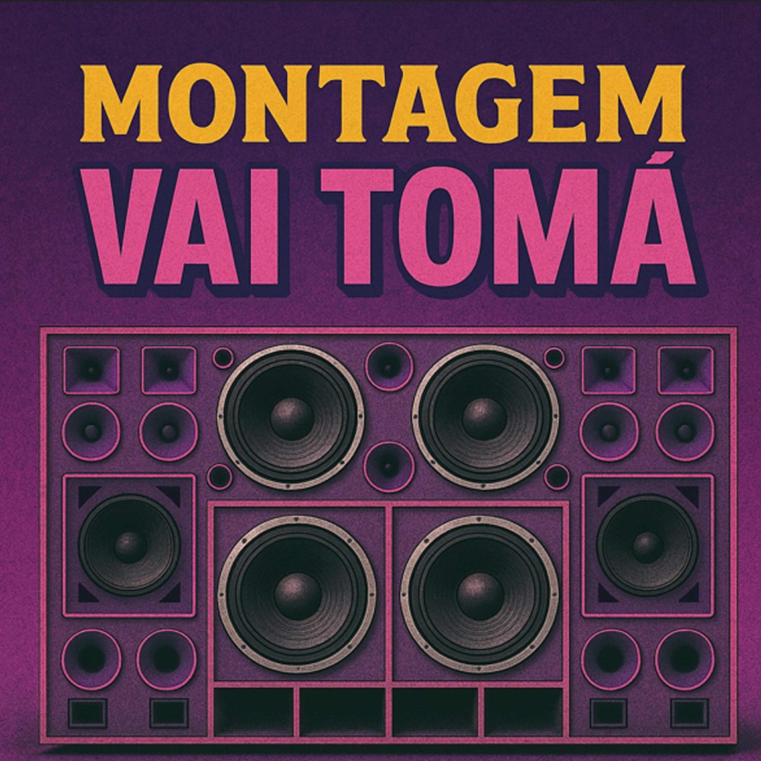 Постер альбома Montagem Vai Toma