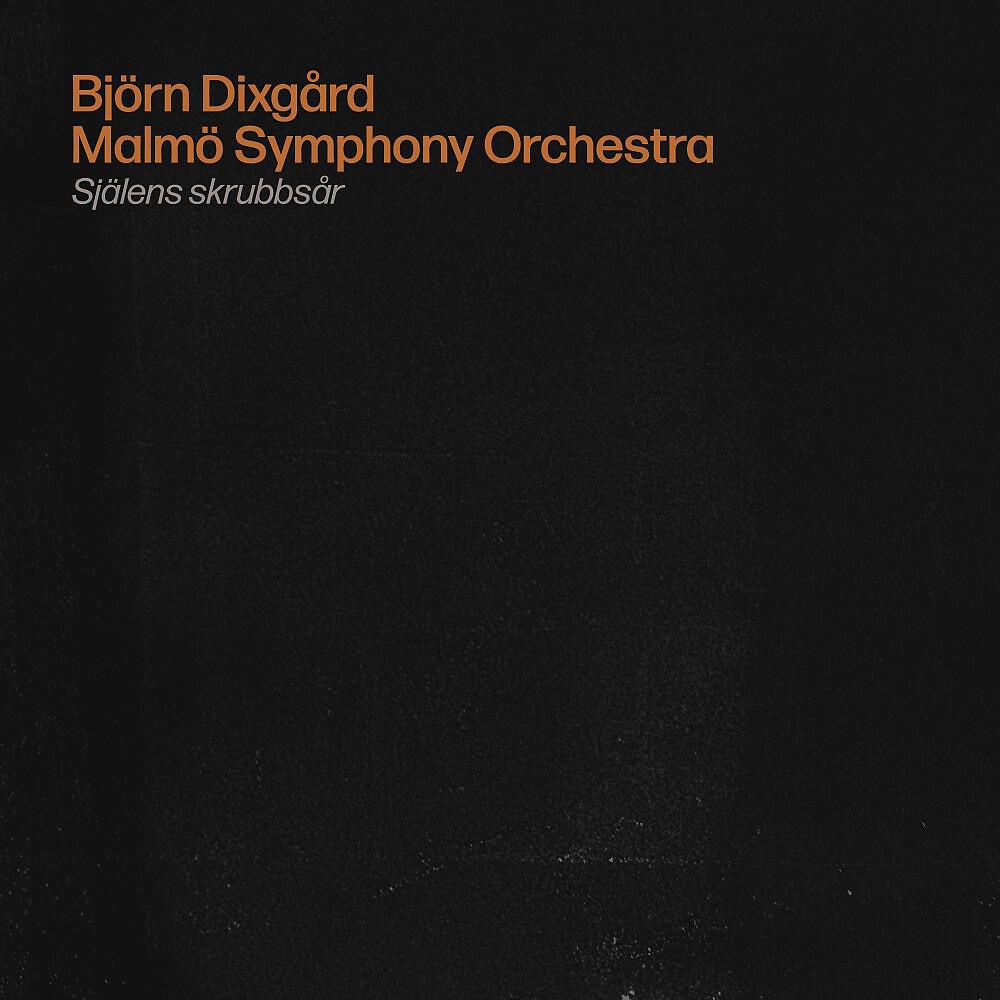 Скачать песню Björn Dixgård, Malmo Symphony Orchestra, Shirin - Stjärnornas tröst бесплатно в MP3 для Android и iOS