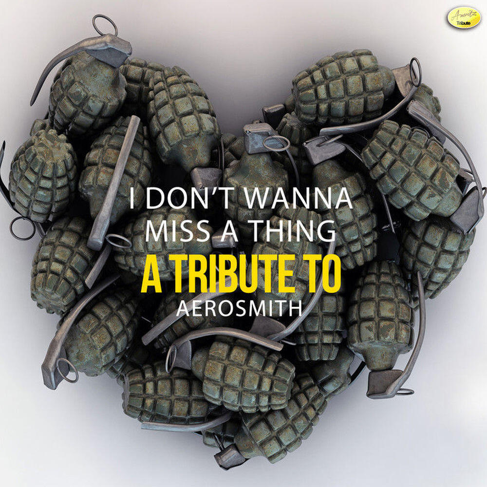 Релиз I Don't Wanna Miss a Thing - A Tribute to Aerosmith