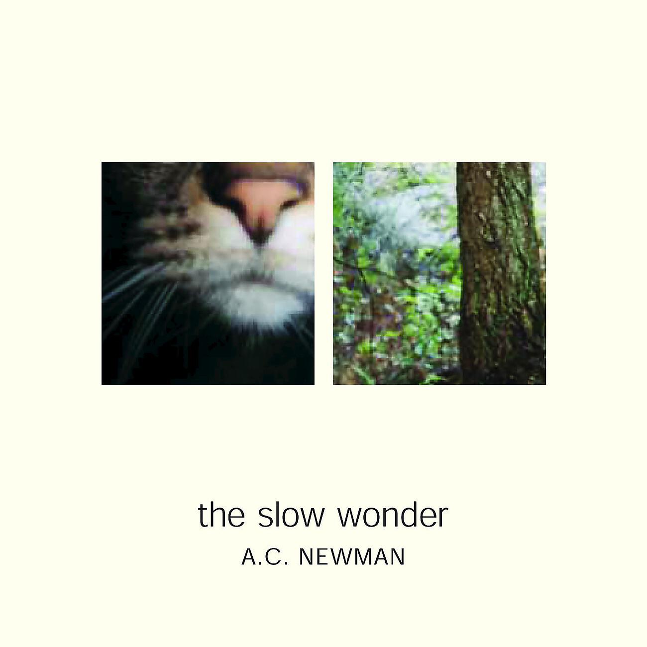 Релиз The Slow Wonder