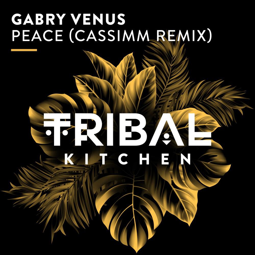 Релиз Peace (CASSIMM Remix)