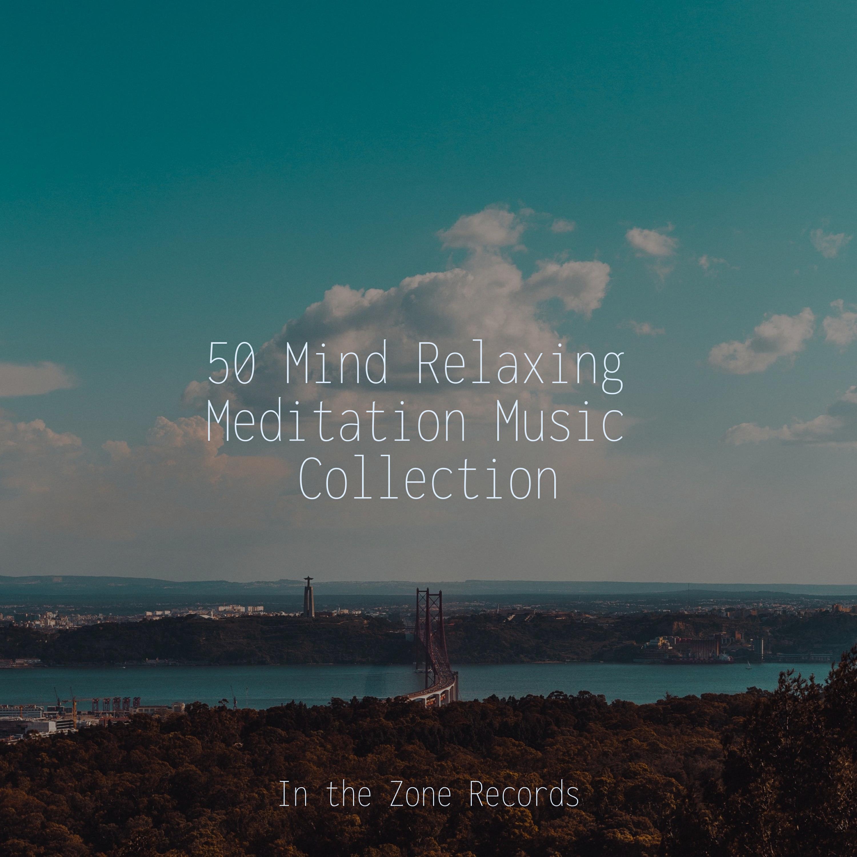 Релиз 50 Mind Relaxing Meditation Music Collection