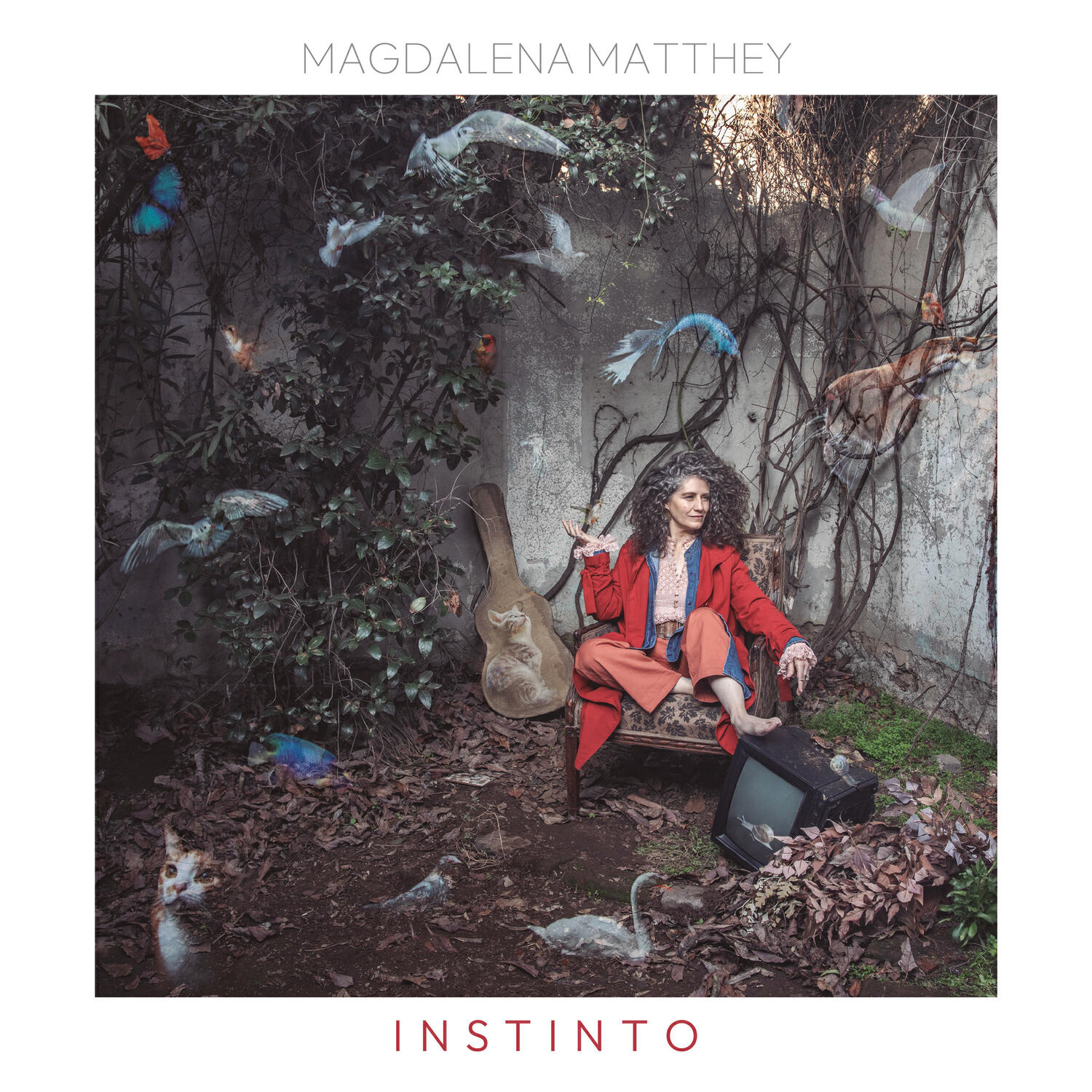 Релиз Instinto