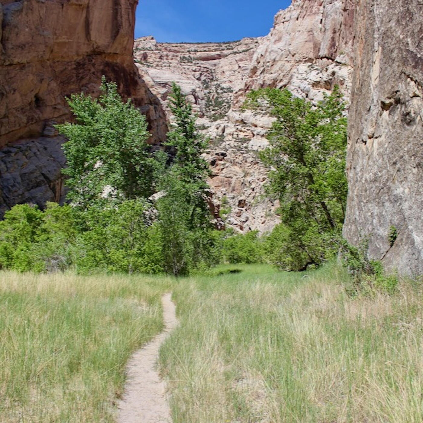 Релиз Box Canyon