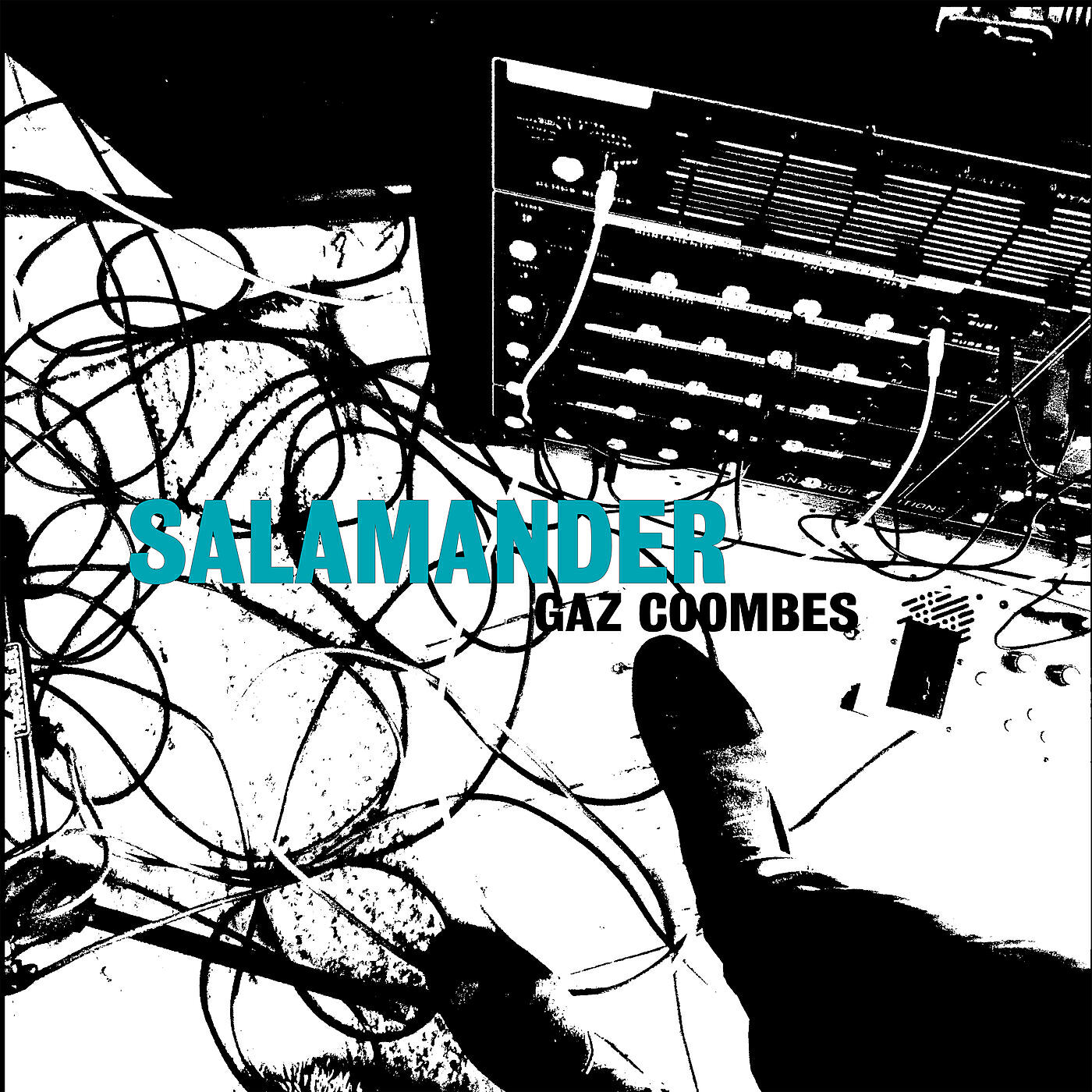 Релиз Salamander