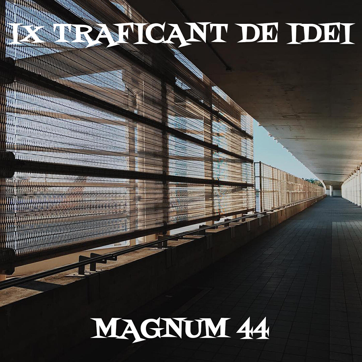 Релиз IX Traficant De Idei