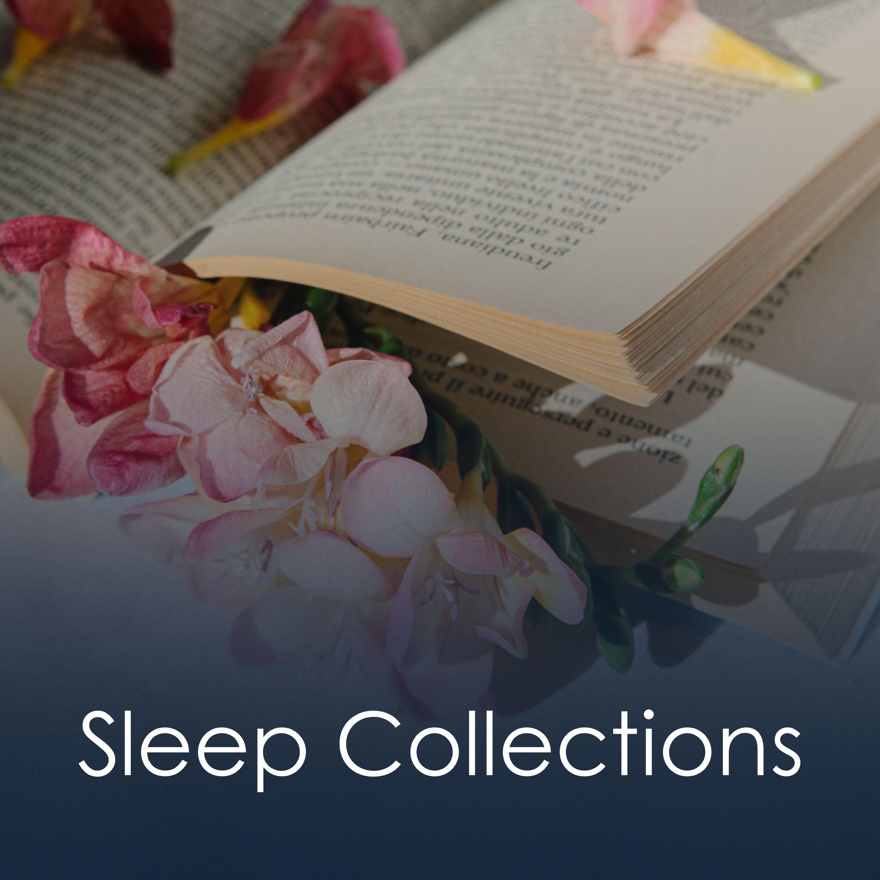 Релиз Sleep Collections
