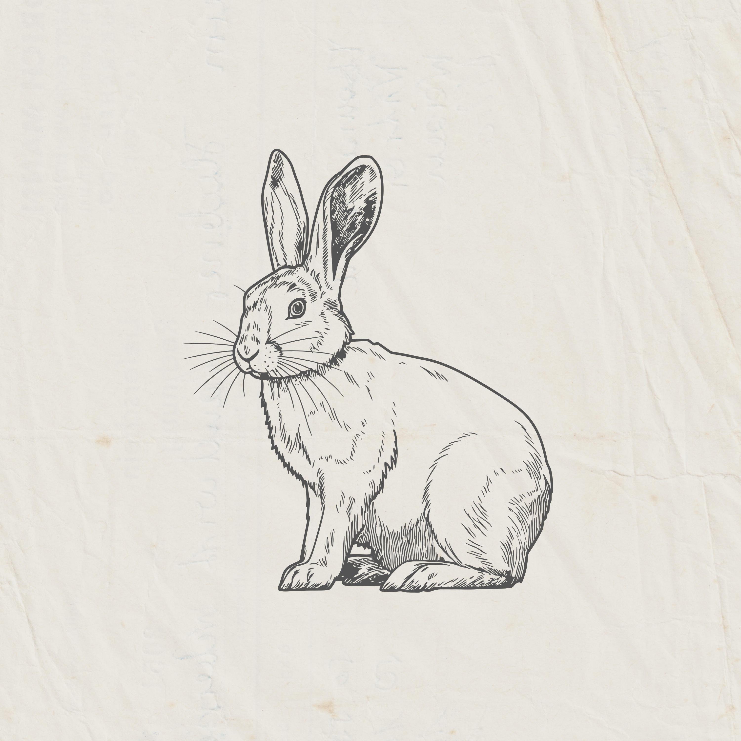 Релиз rabbit
