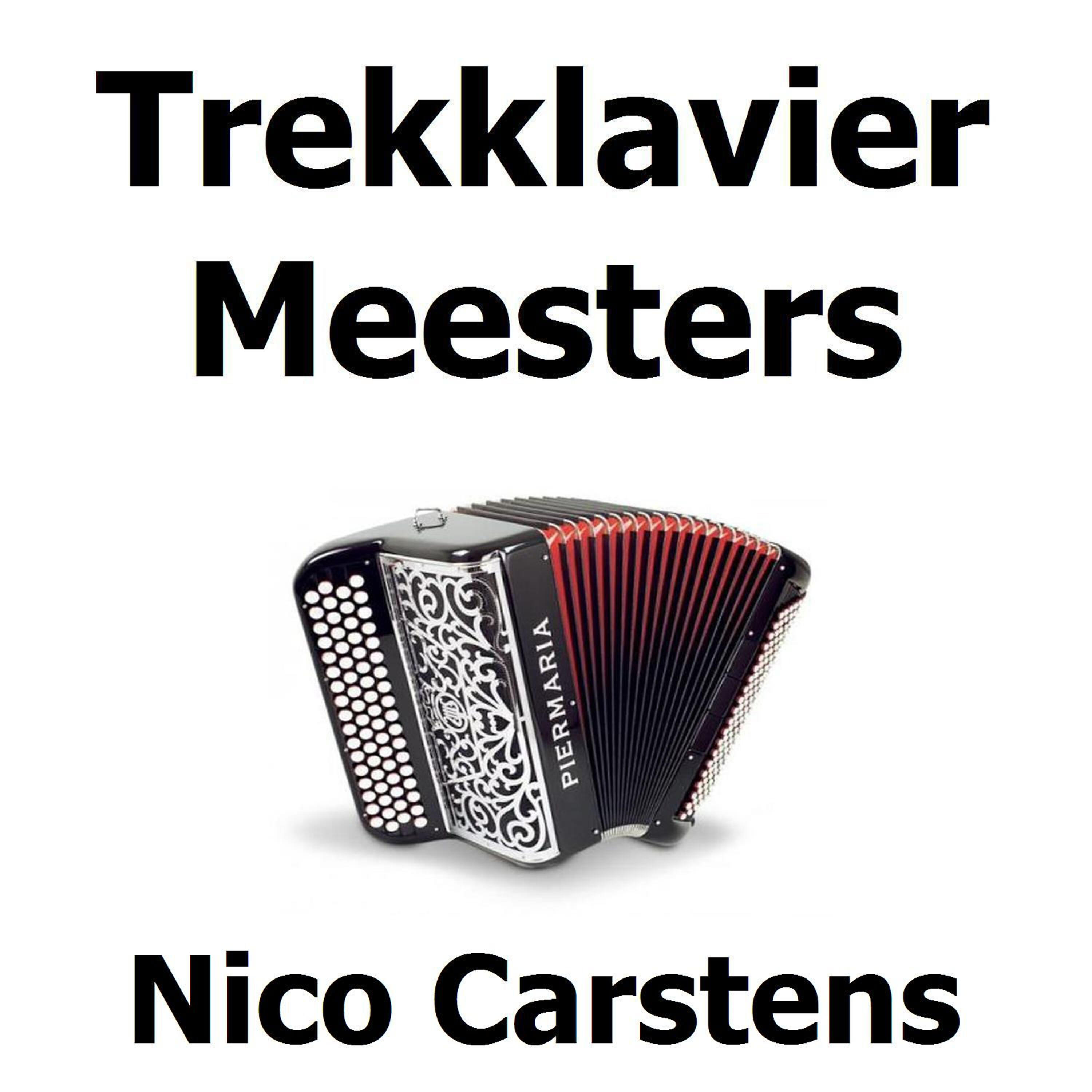 Nico Carstens
