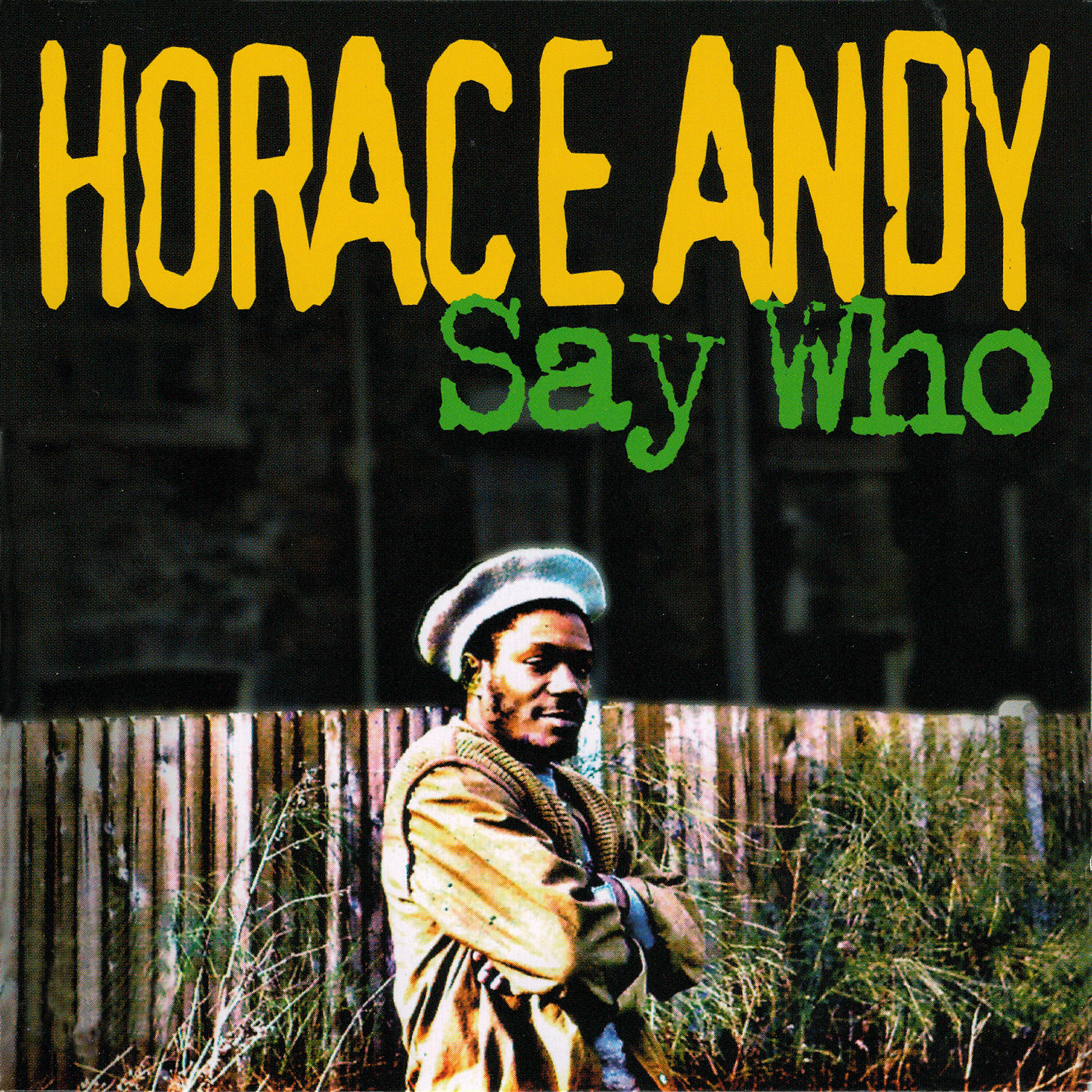 Релиз Say Who