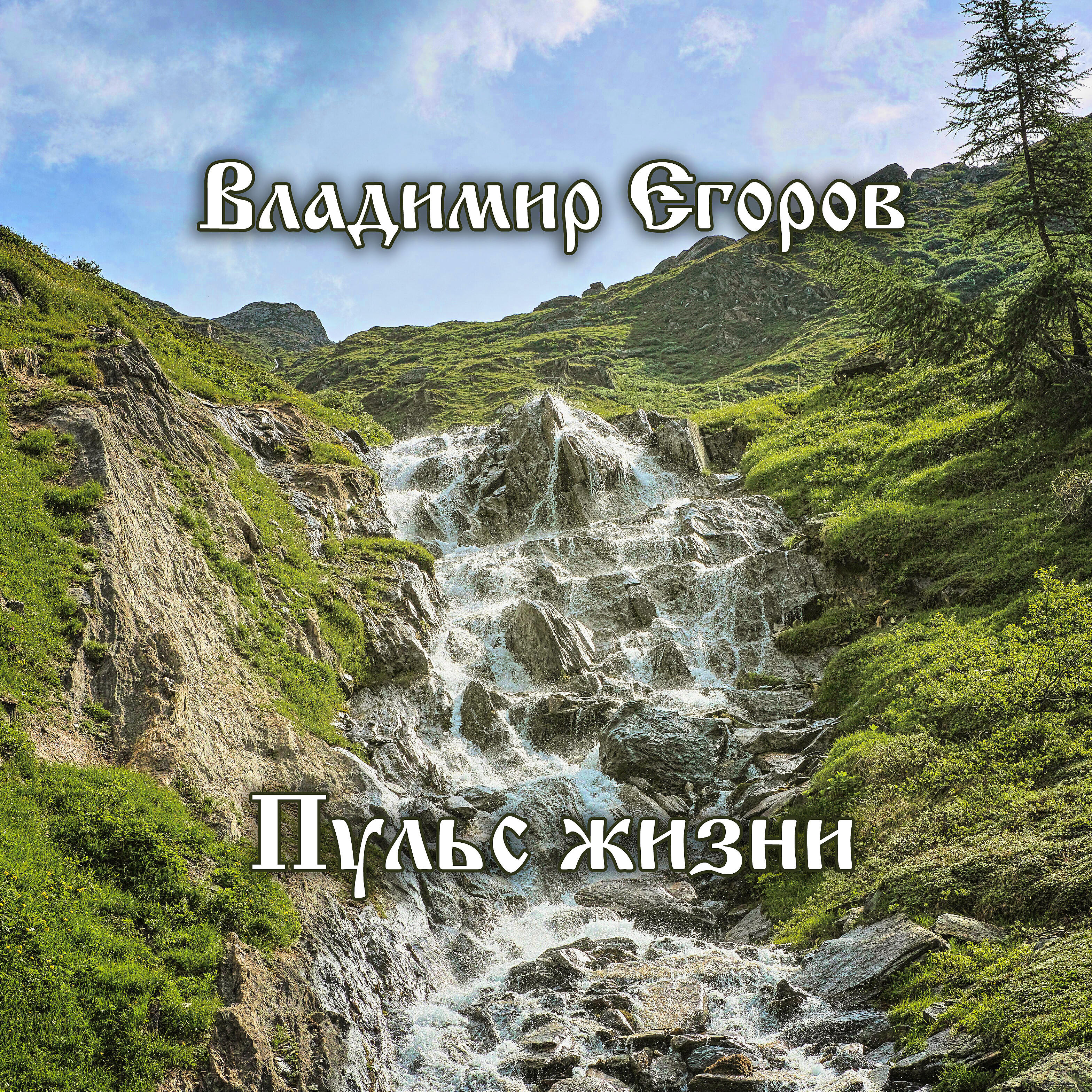 Постер альбома Пульс жизни