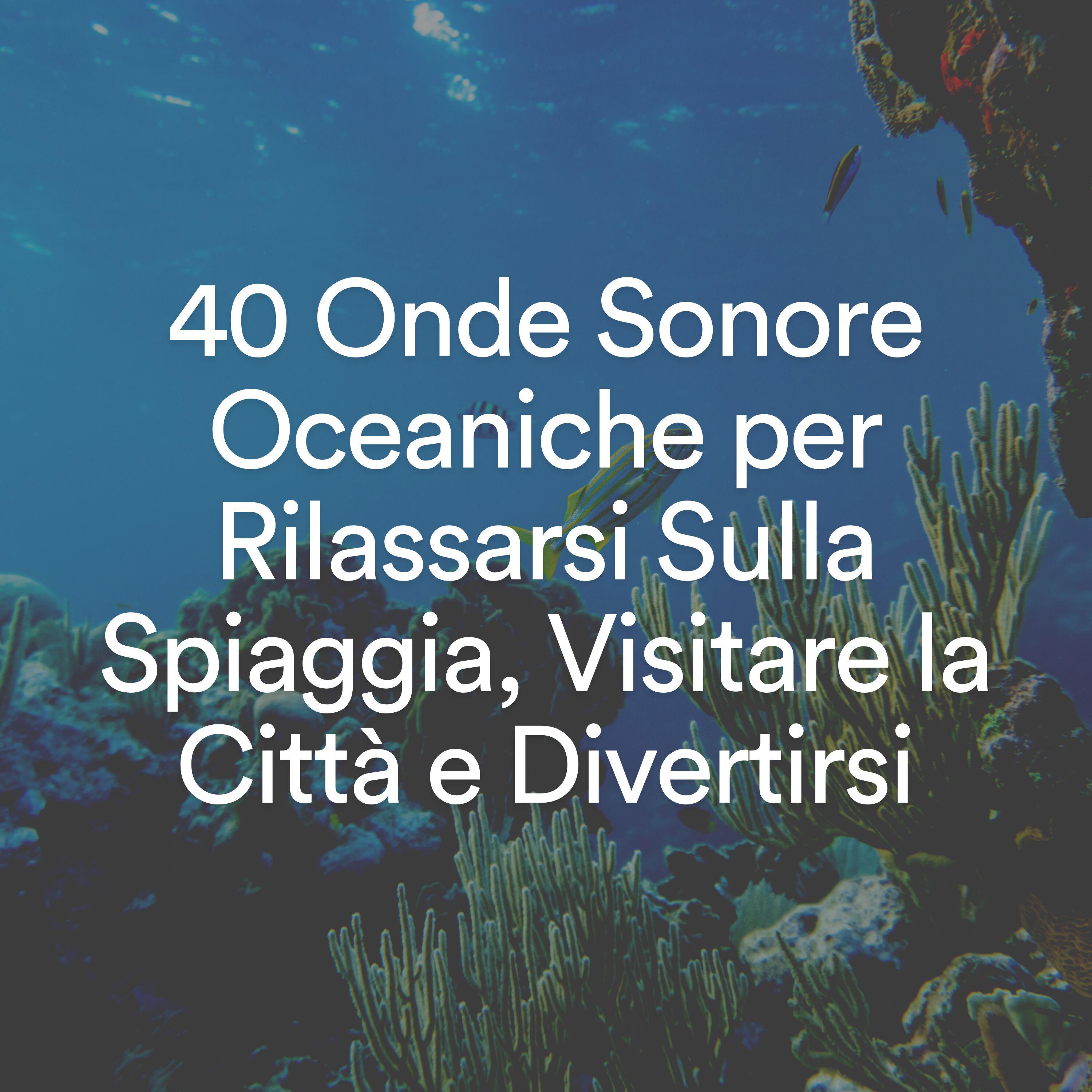 Релиз 40 Onde Sonore Oceaniche per Rilassarsi Sulla Spiaggia, Visitare la Città e Divertirsi