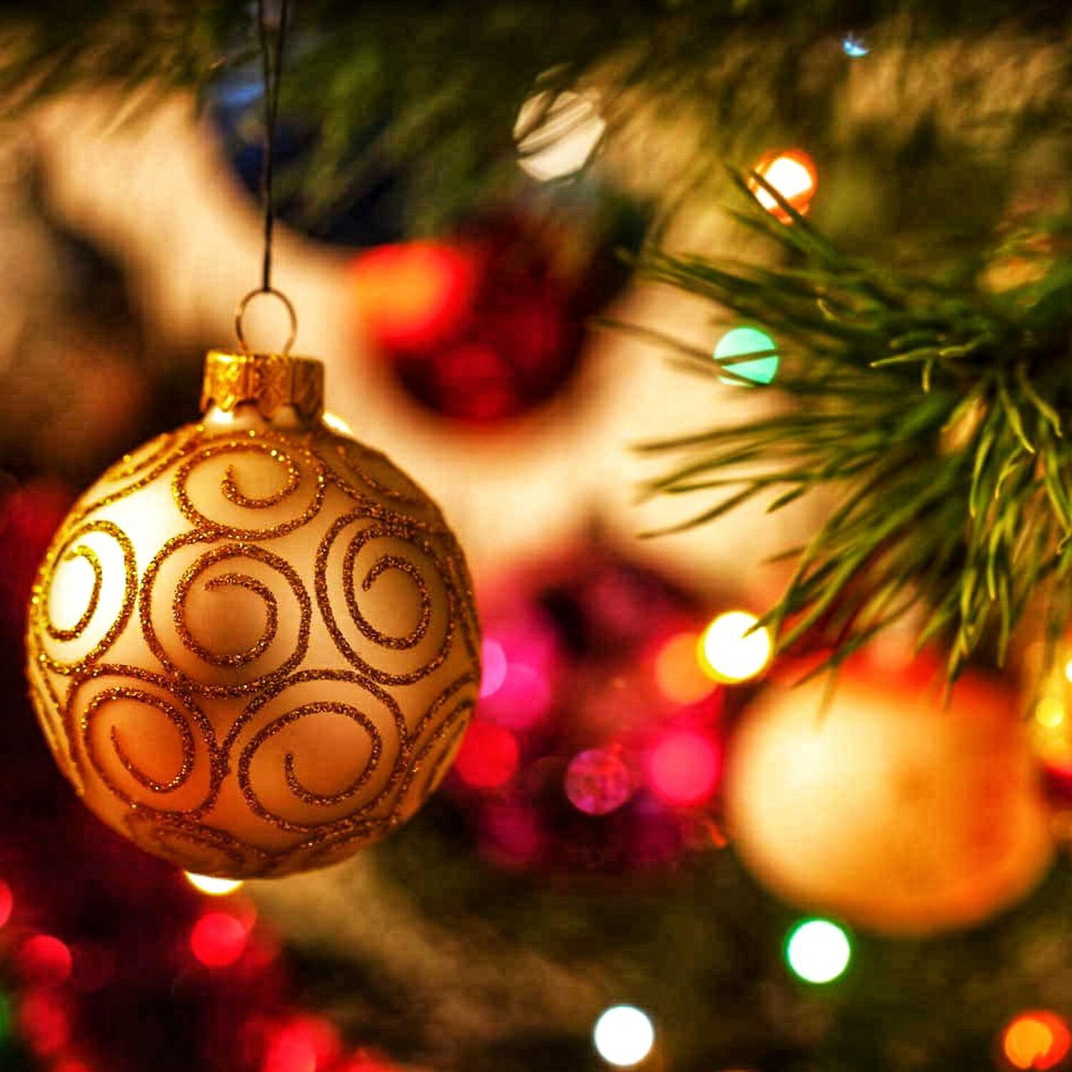 Постер альбома Jingle Bells