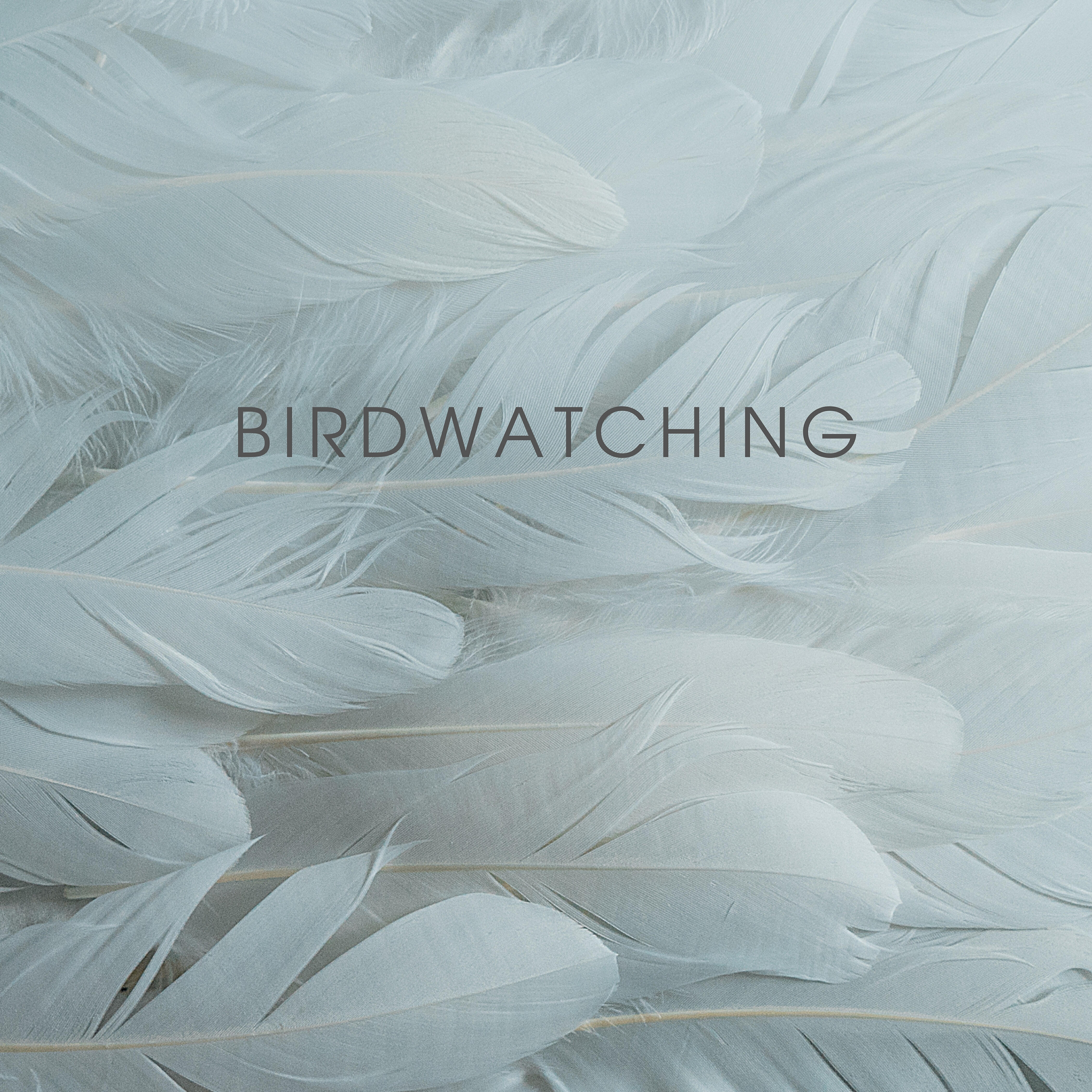 Релиз Birdwatching