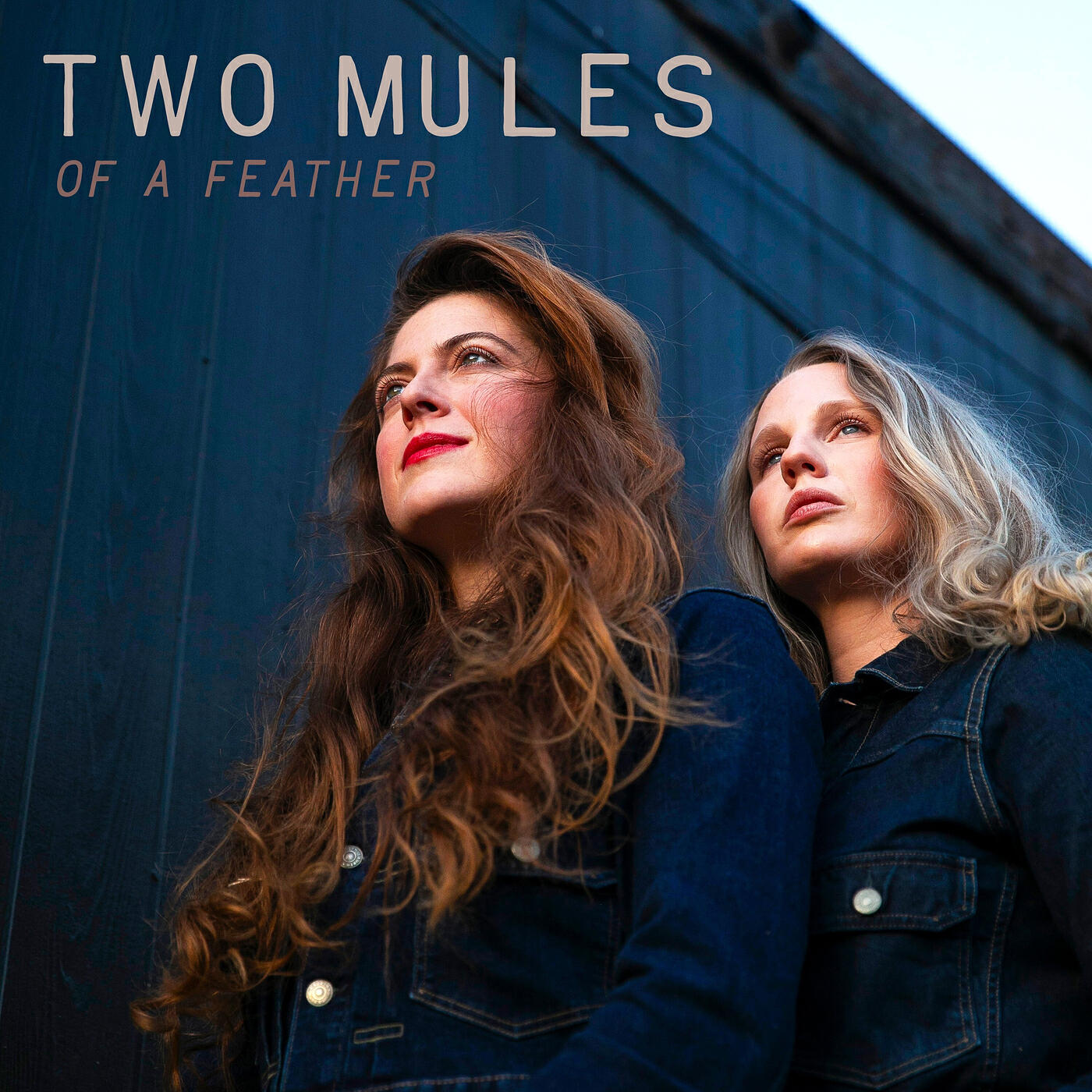 Релиз Two Mules