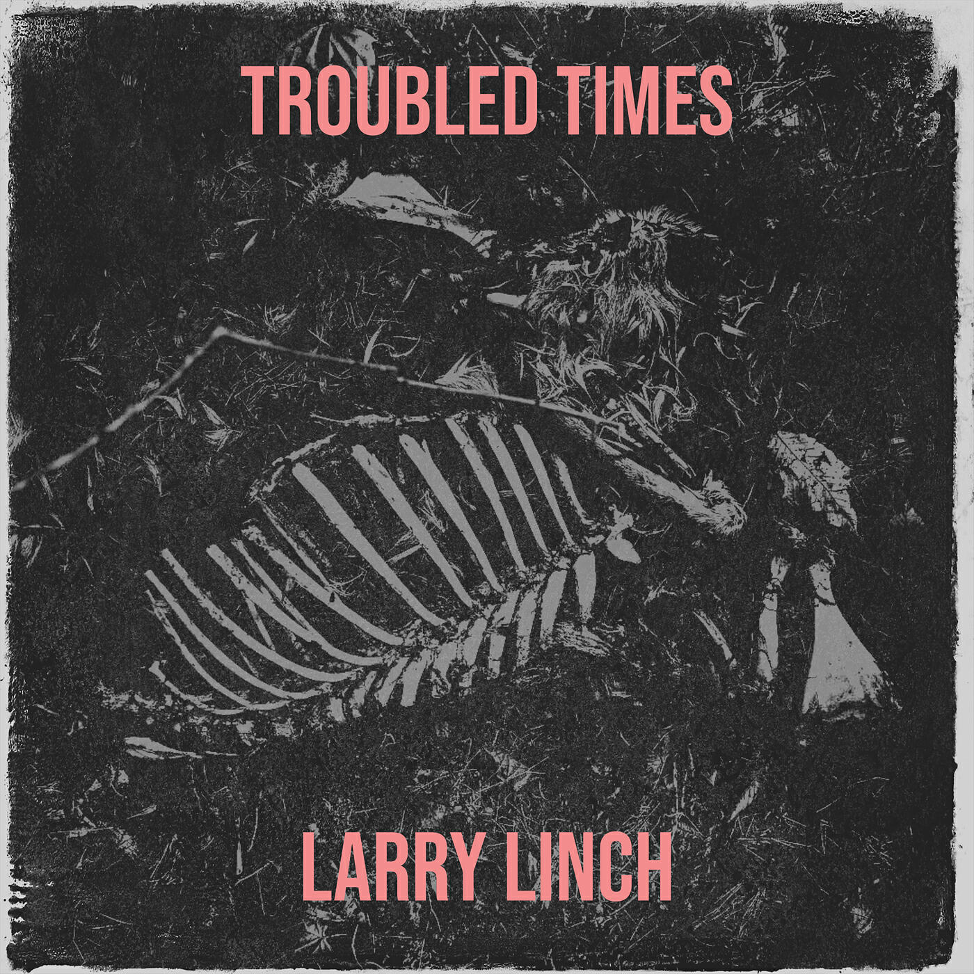 Релиз Troubled Times