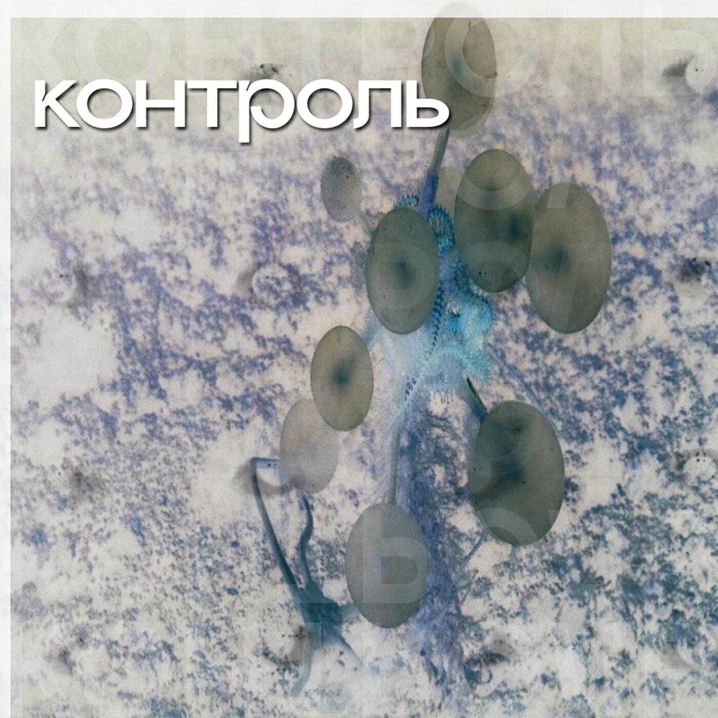 Релиз Запястья