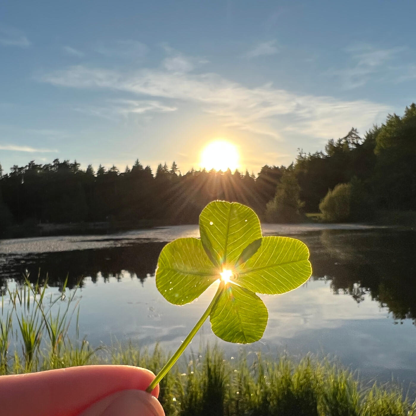 Релиз Nature's Charm