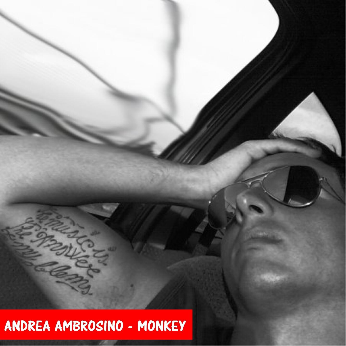 Релиз Monkey