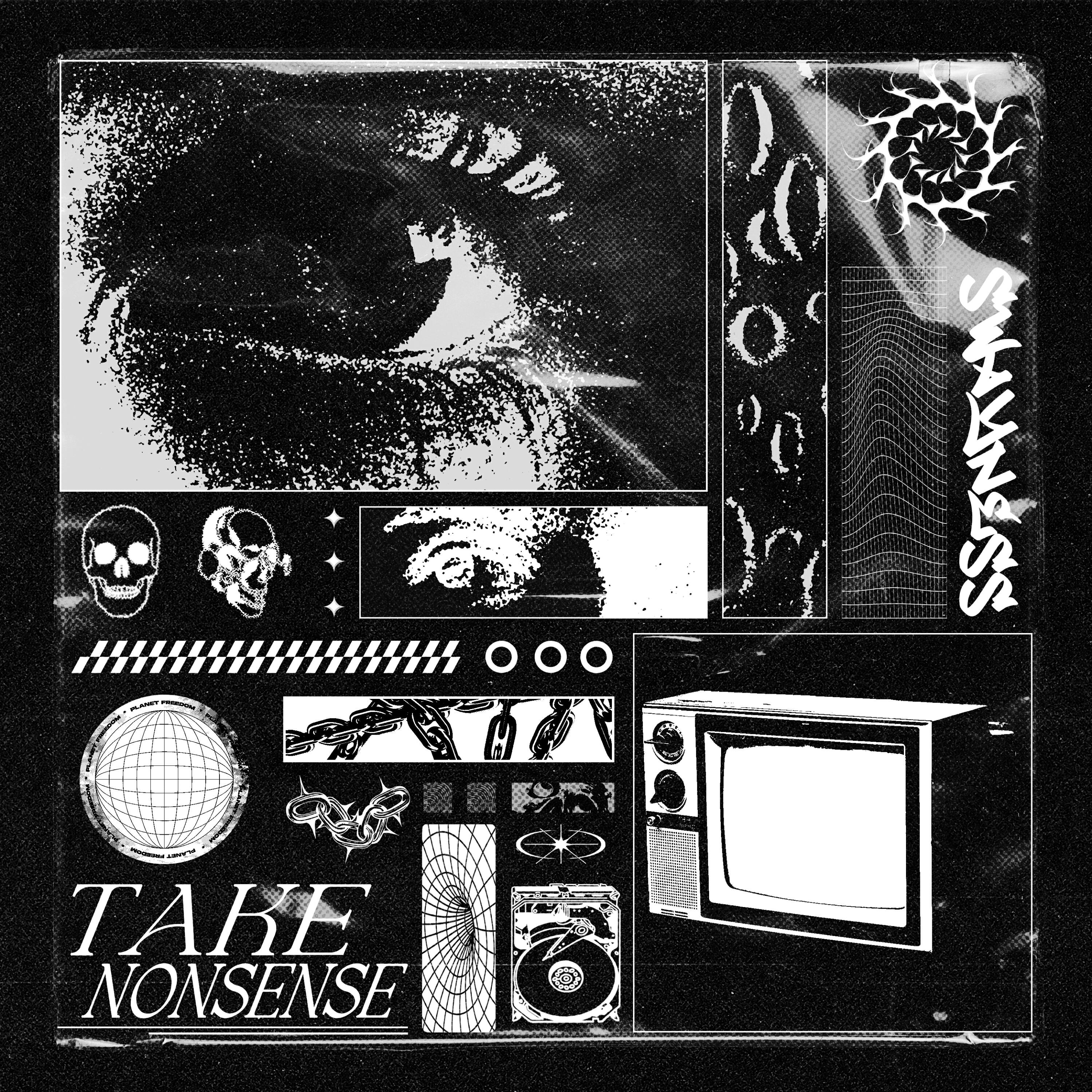 Постер альбома Take Nonsense