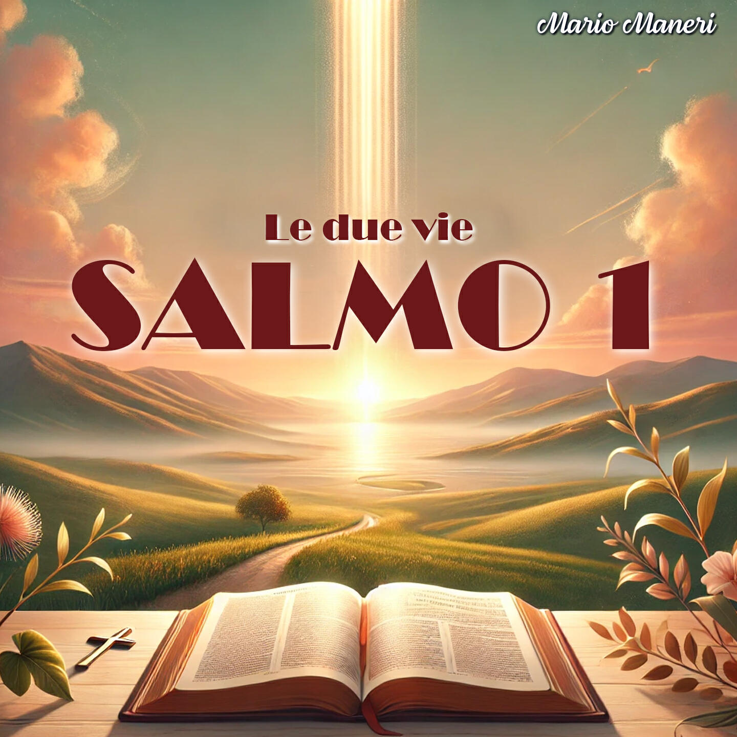 Релиз SALMO 1