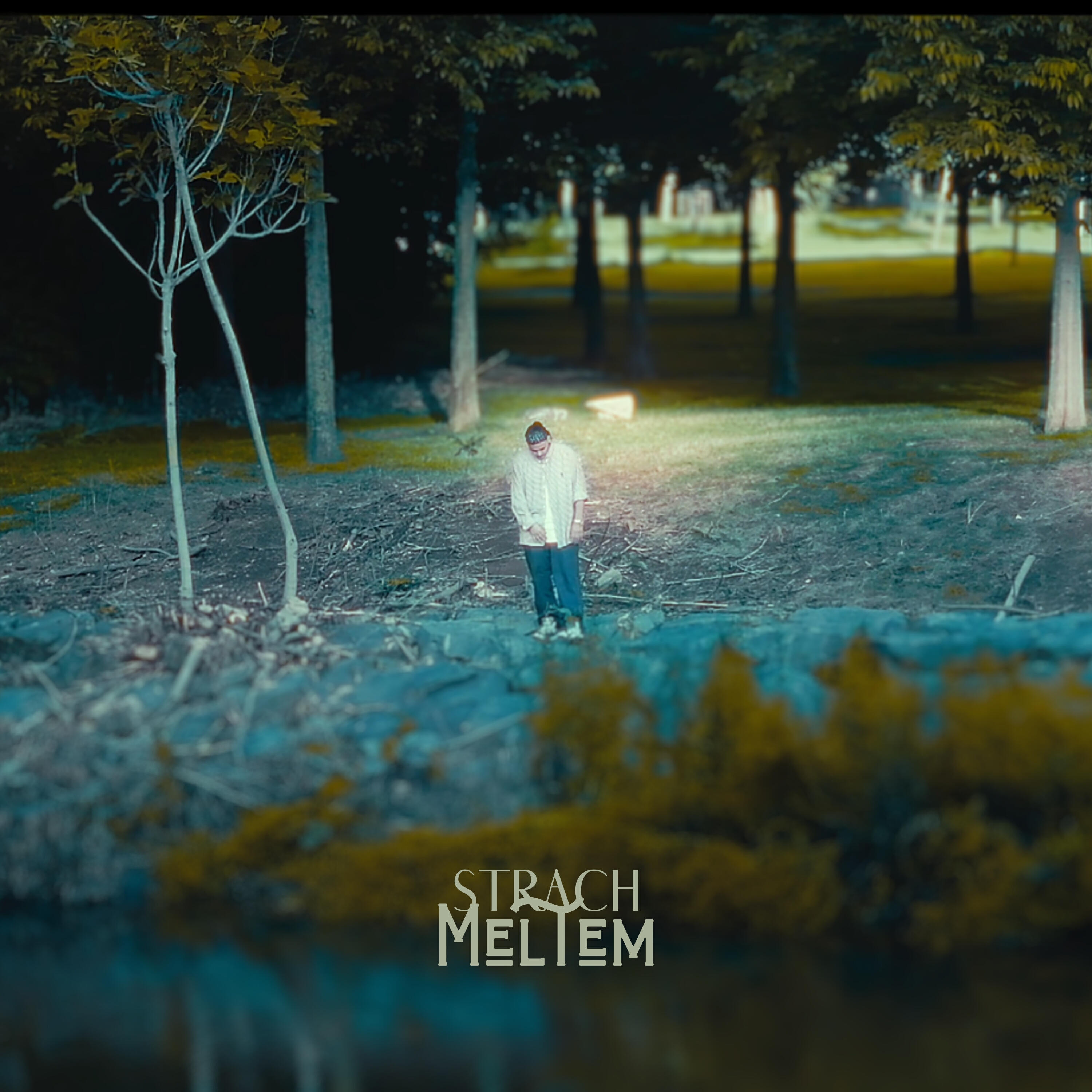 Релиз Meltem