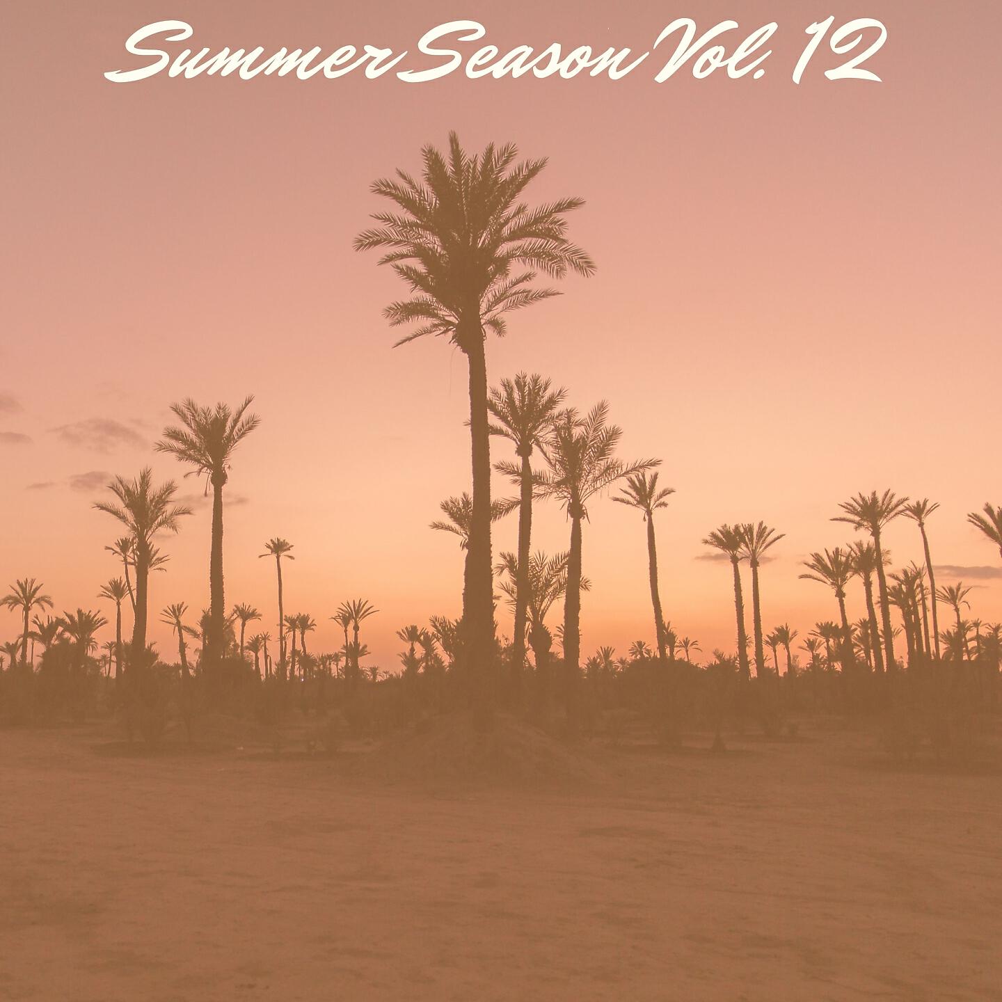 Релиз Summer Season Vol. 12