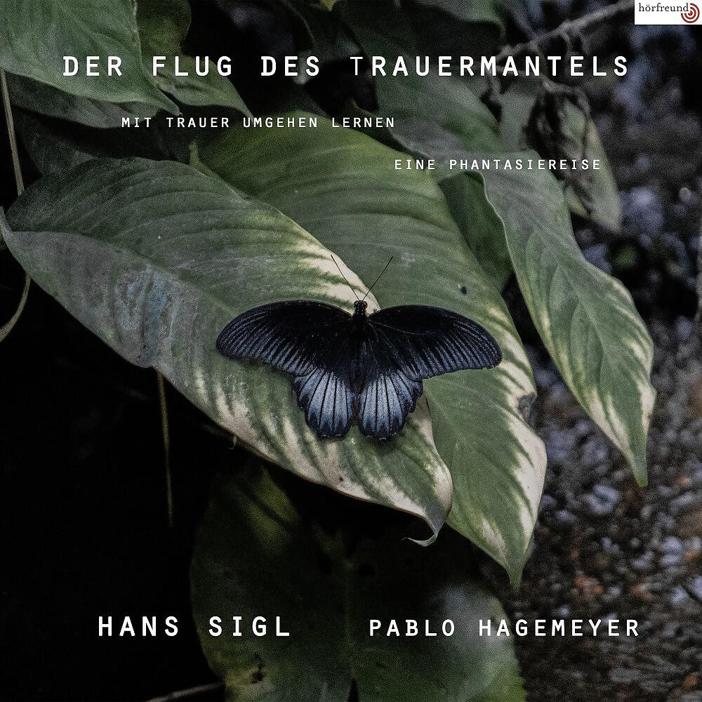 Постер альбома Der Flug des Trauermantels (Mit Trauer umgehen lernen - Eine Phantasiereise)