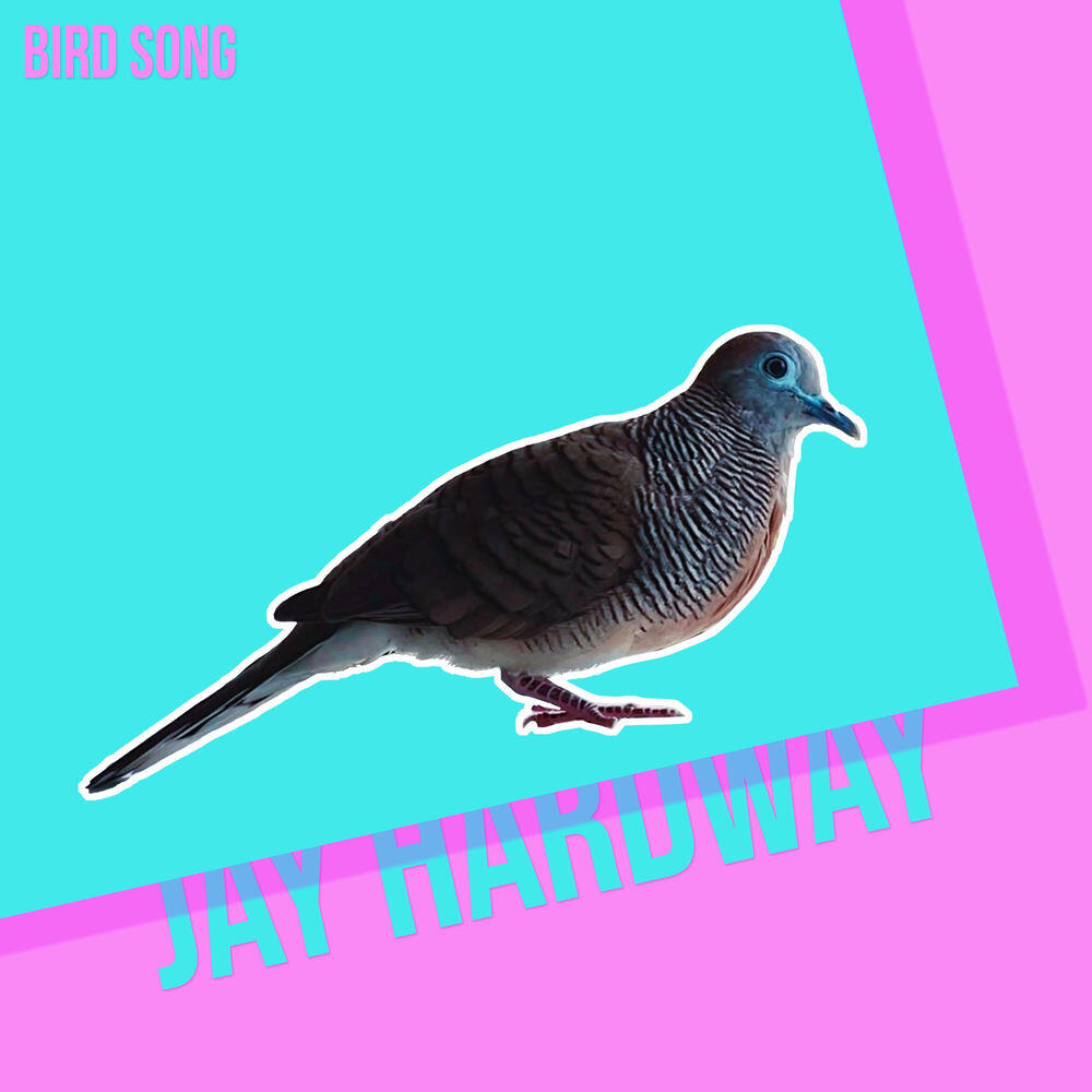 Релиз Bird Song