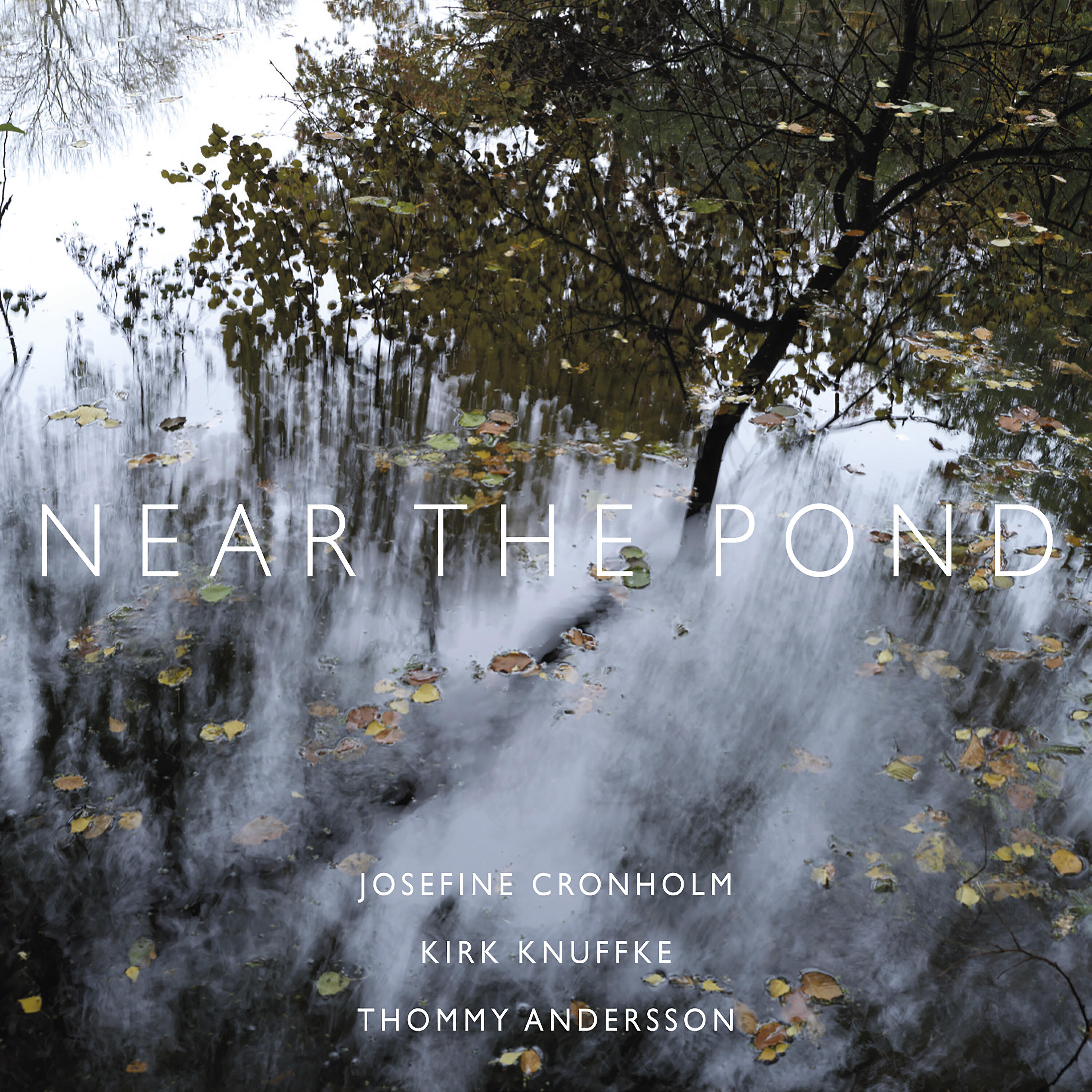 Релиз Near the Pond