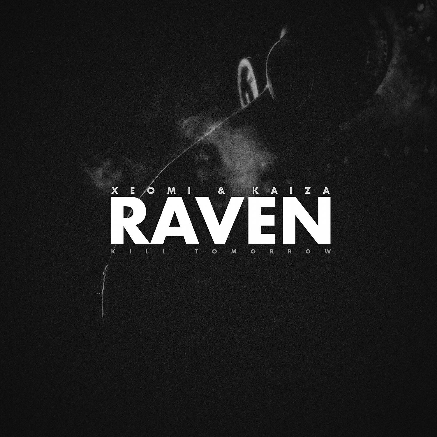 Постер альбома Raven