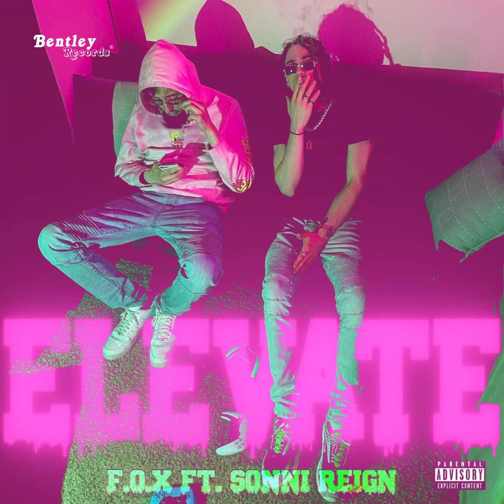 Релиз Elevate