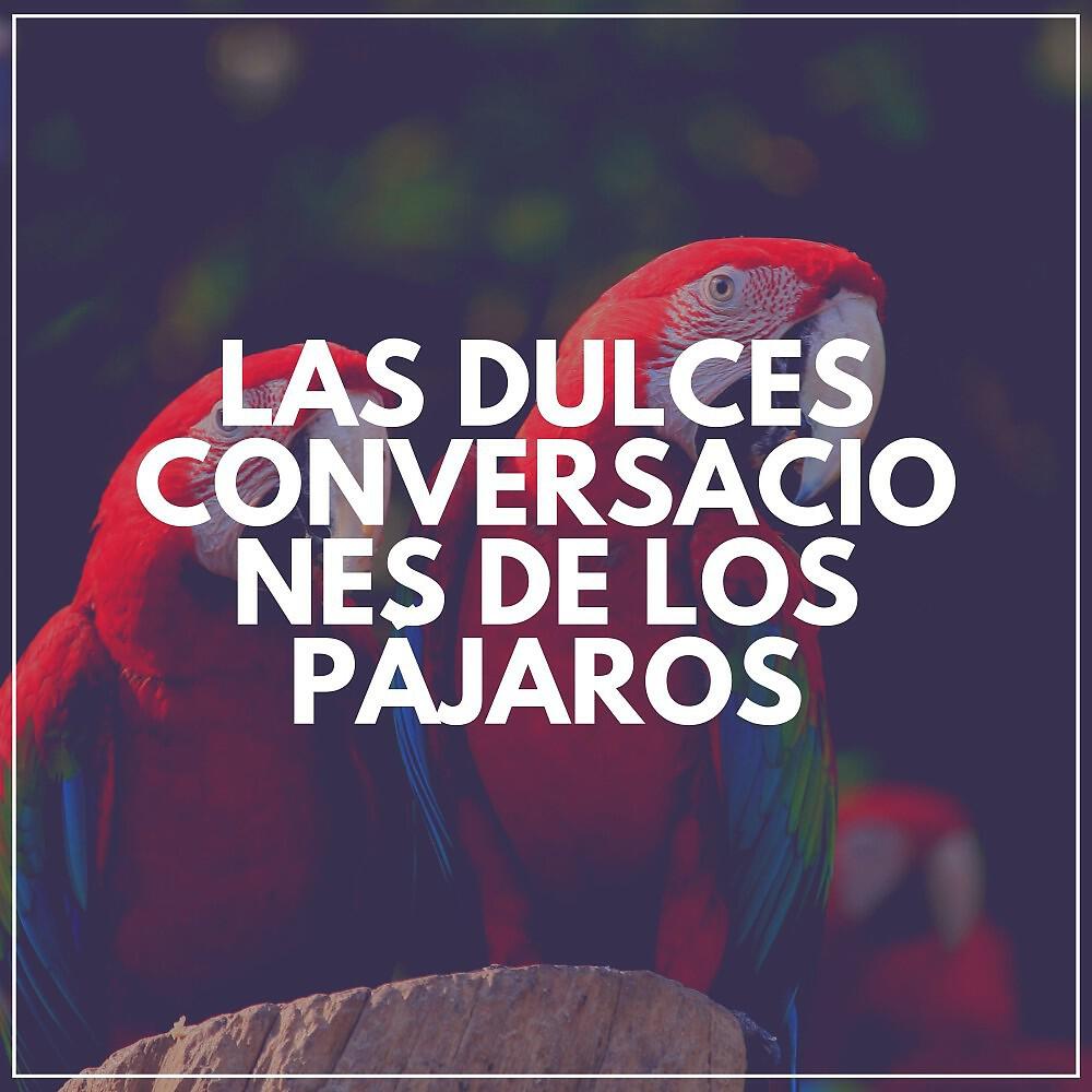 Релиз Las Dulces Conversaciones de los Pájaros