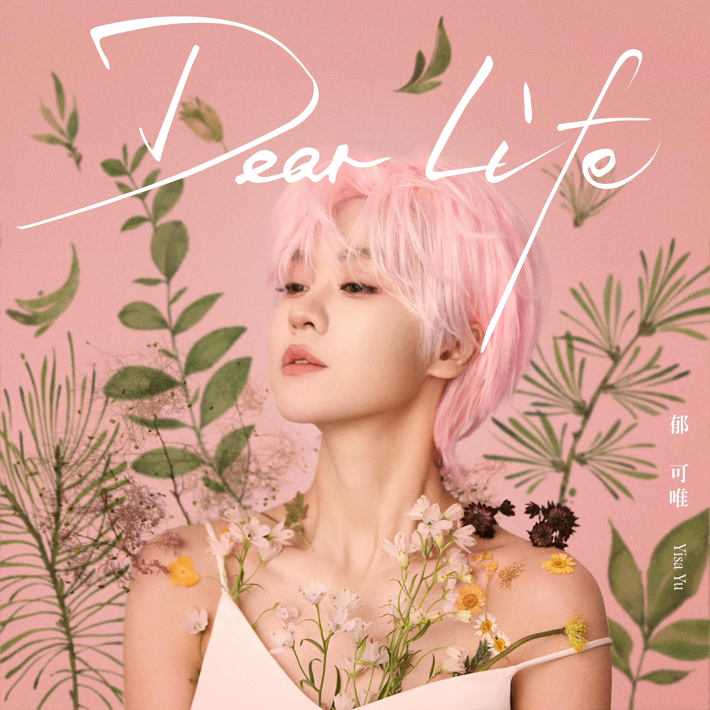 Релиз Dear Life
