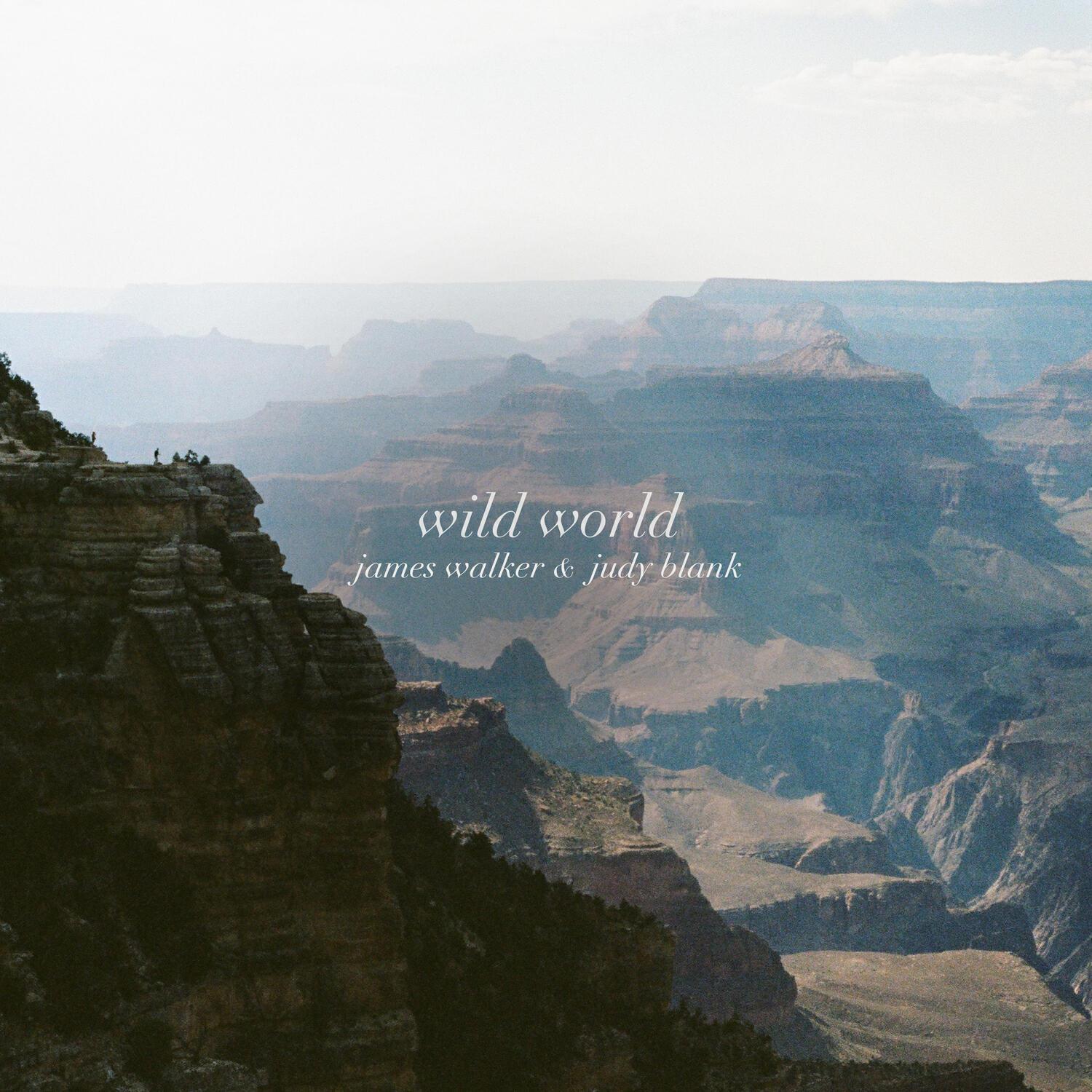 Релиз Wild World